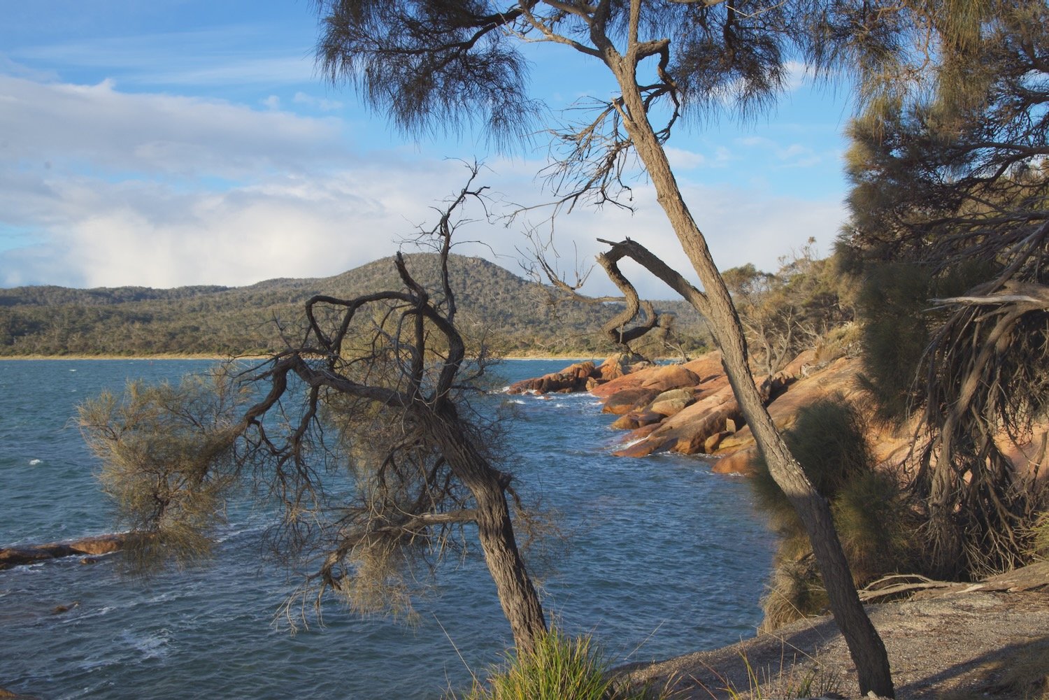 Freycinet National Park scene