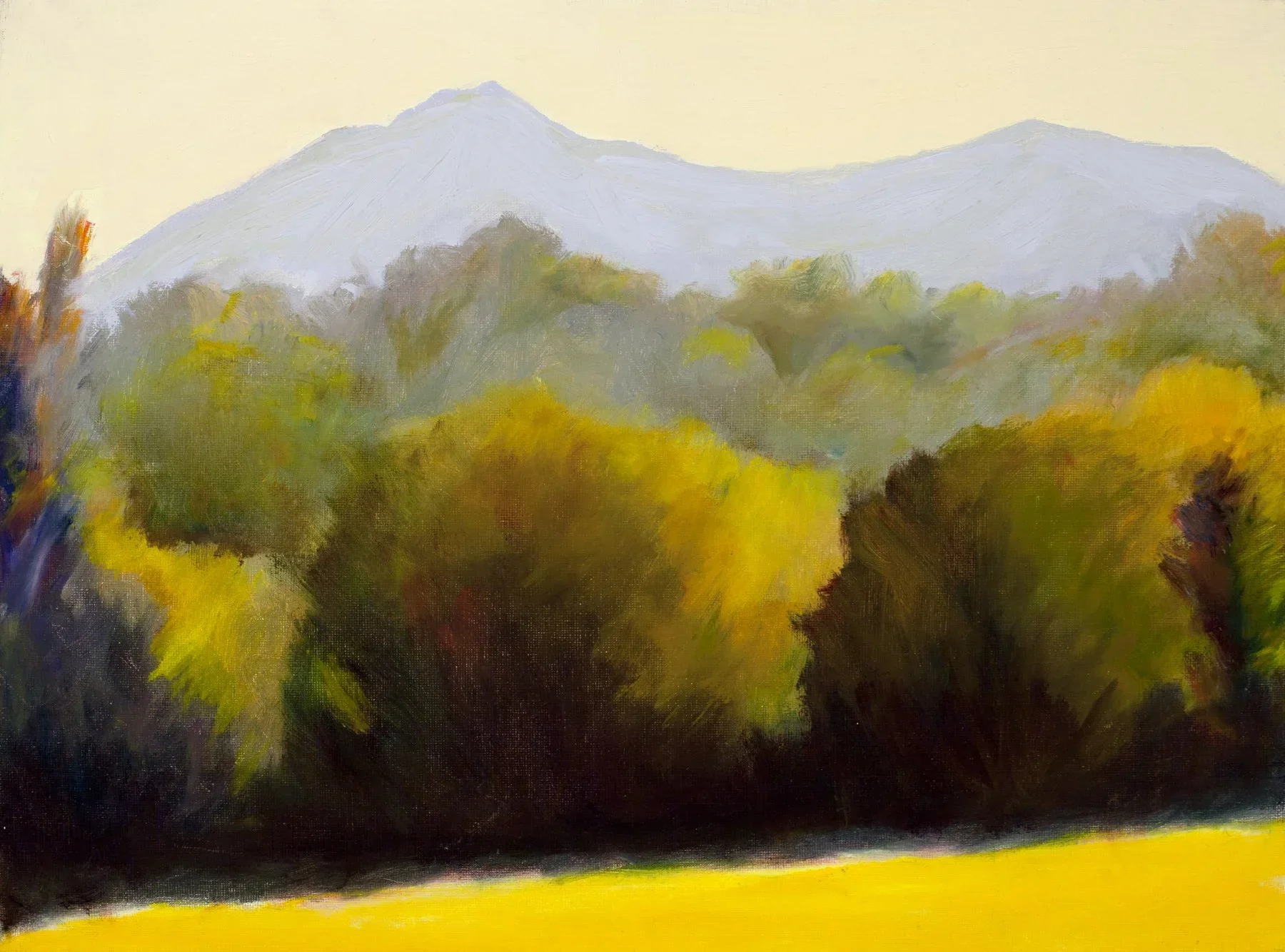 Mount+Tamalpaiscc.jpg.webp