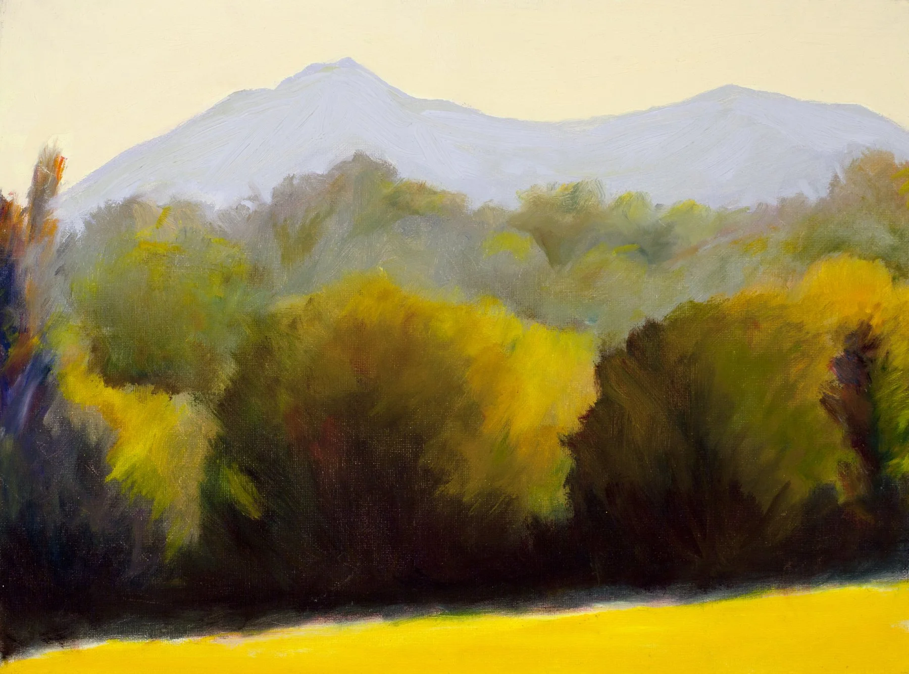 Mount Tamalpaiscc.jpg