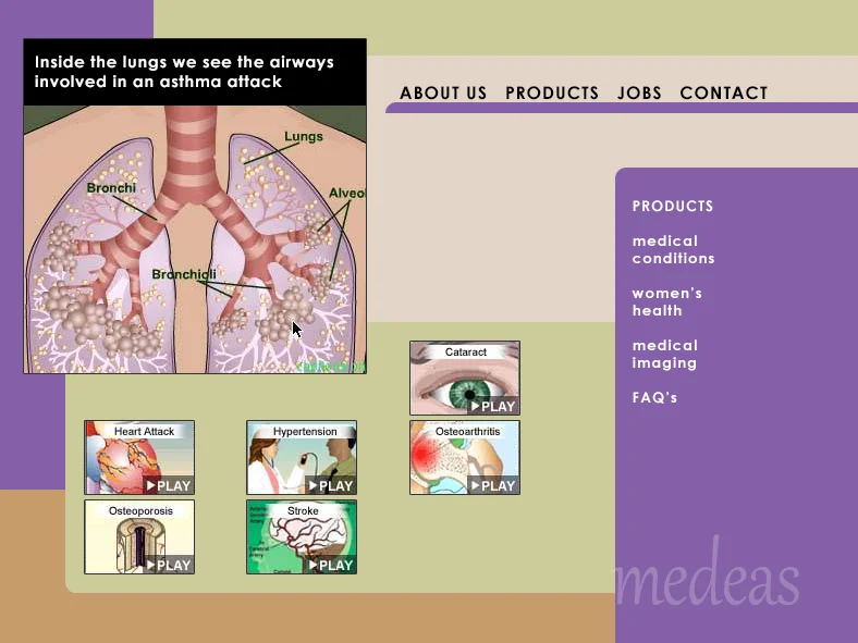 asthma lungs medeas.jpg