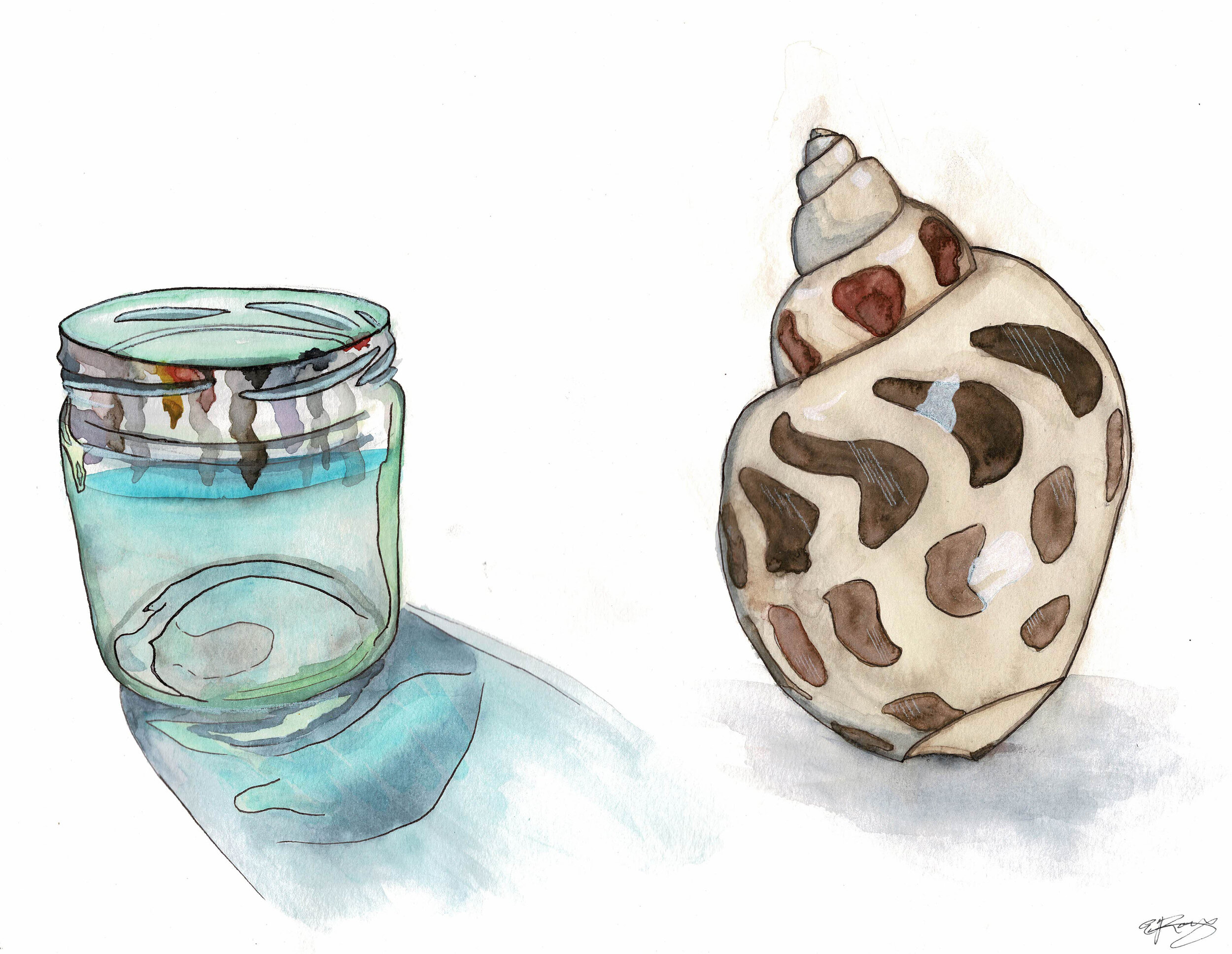 Study of Glass and Seashell in Watercolor
