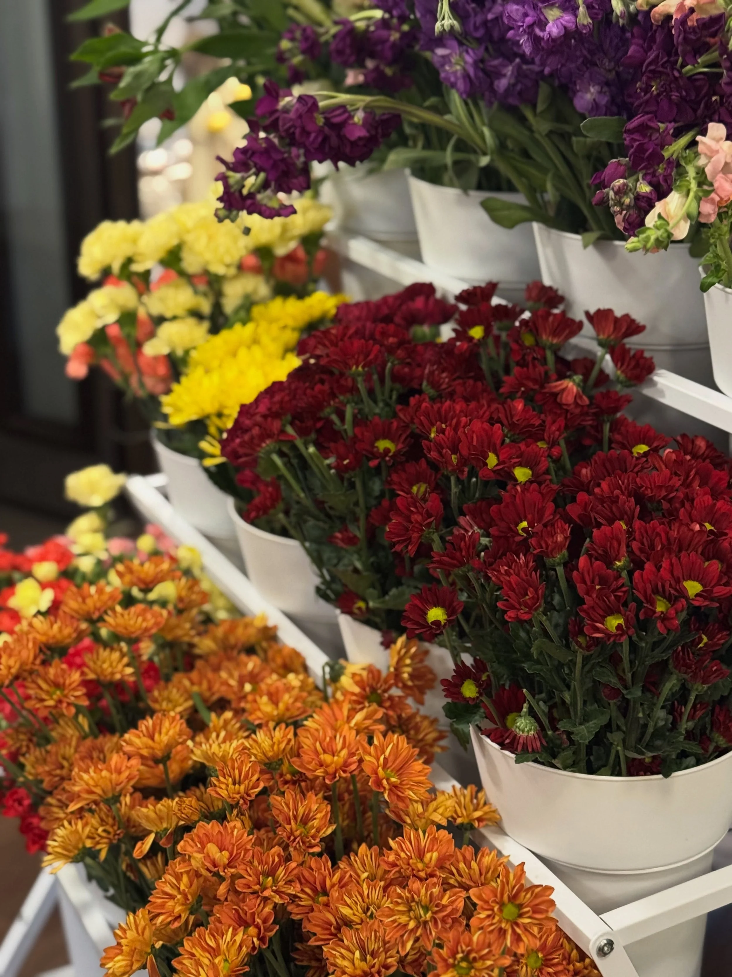 Rain OR Shine, our Autumn in Bloom is ON!🌻We are all set up (inside) and ready to go with our gorgeous fall flowers! We can&rsquo;t wait to see everyone!☺️🥂

Come spend this crazy nor easter with us today! Shop the store, grab a coffee &amp; treat 