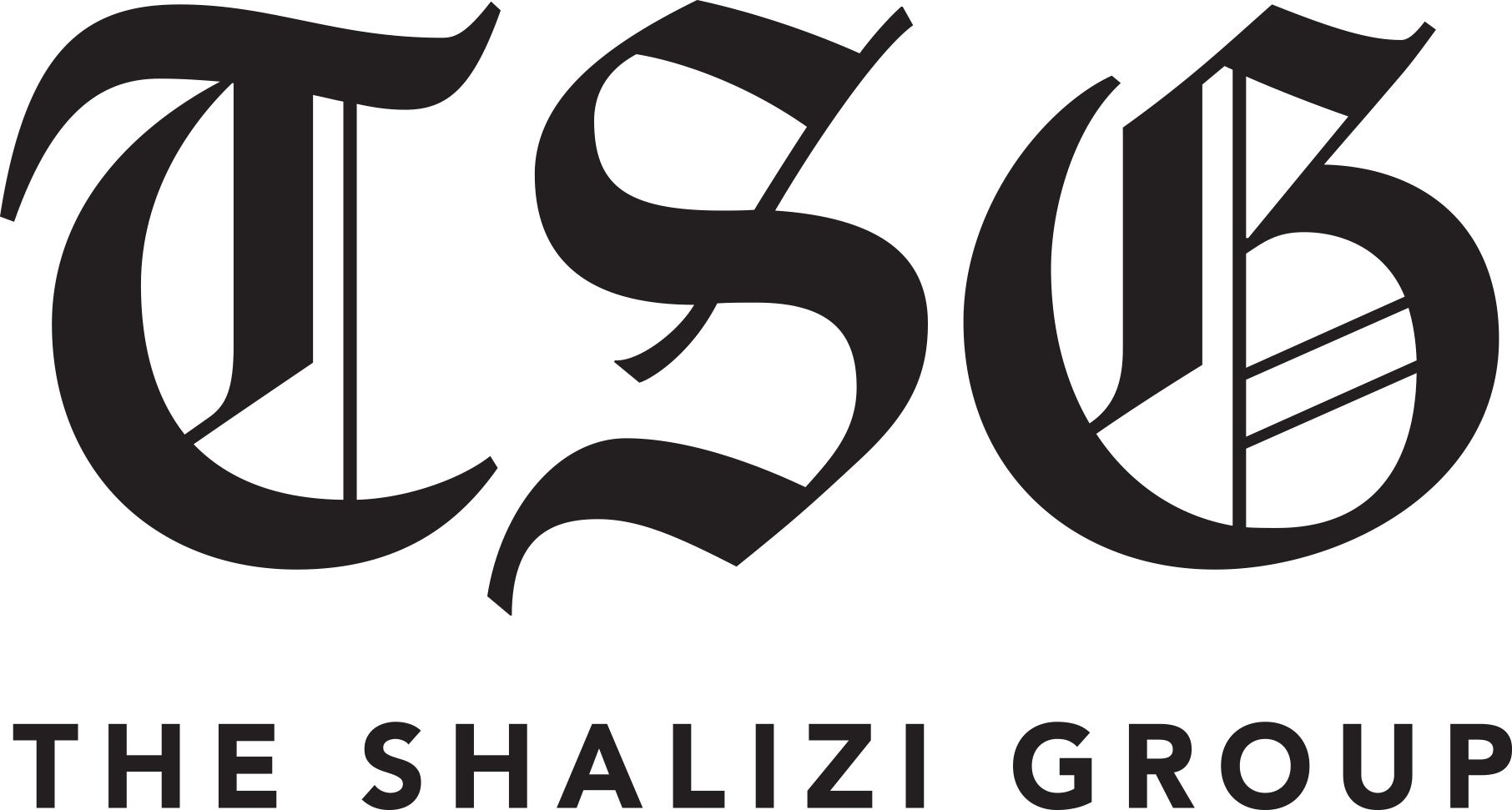 The Shalizi Group