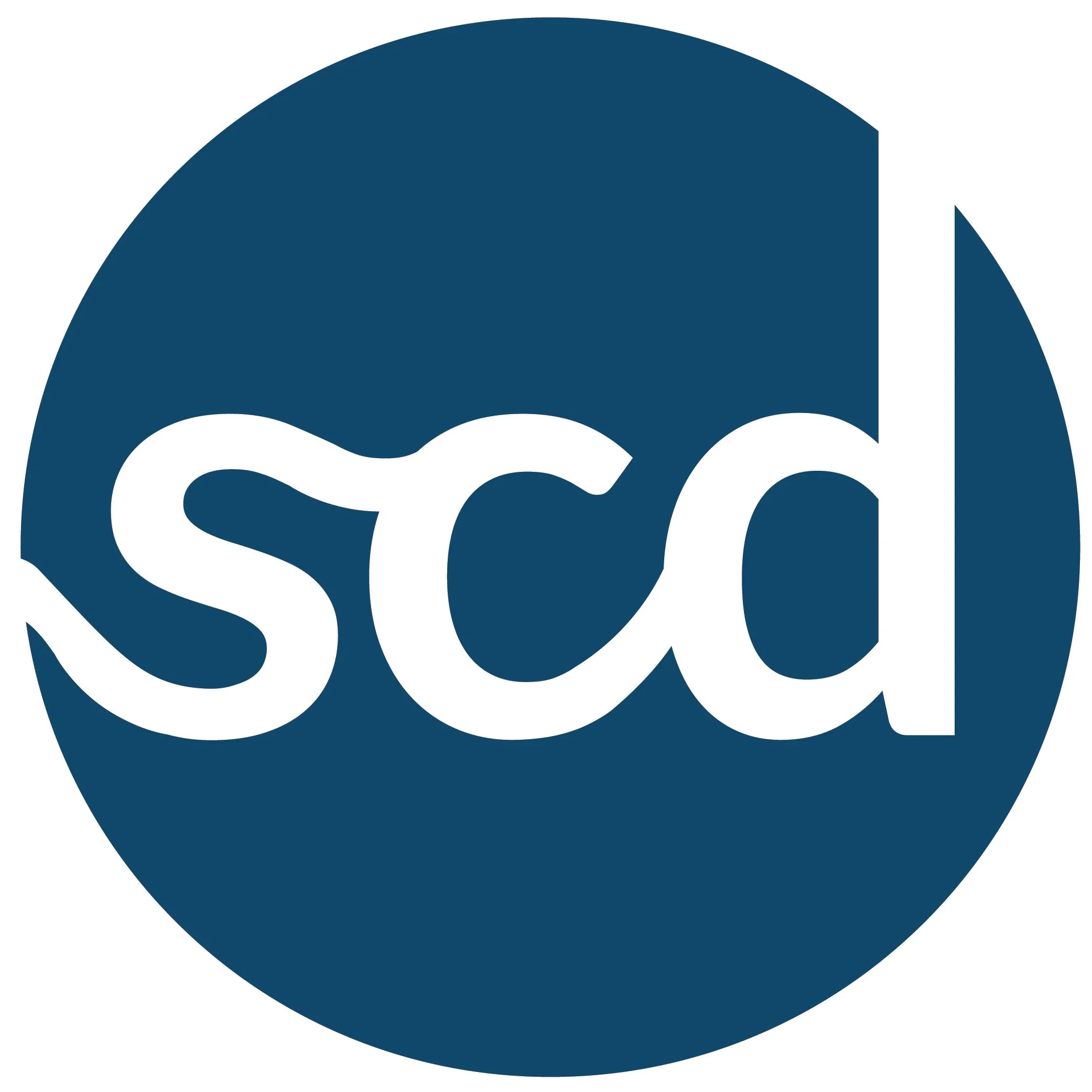 Senior Connect Digital - Subbrand of Pantelope - Brand Development and Design