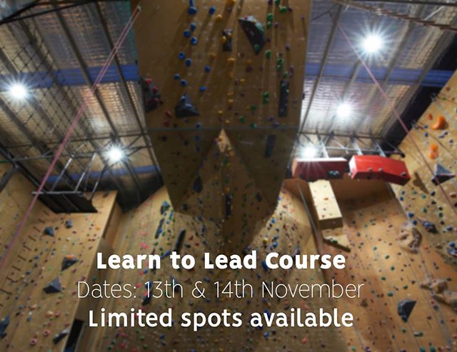 It's that time again! Get summer ready by signing up to the Lead Course and learn all the skills! Visit the link in the bio to sign up!