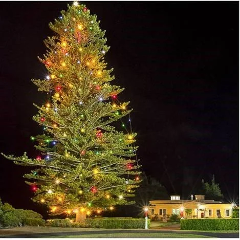 Christmas2012_Waimea_ET  .jpg