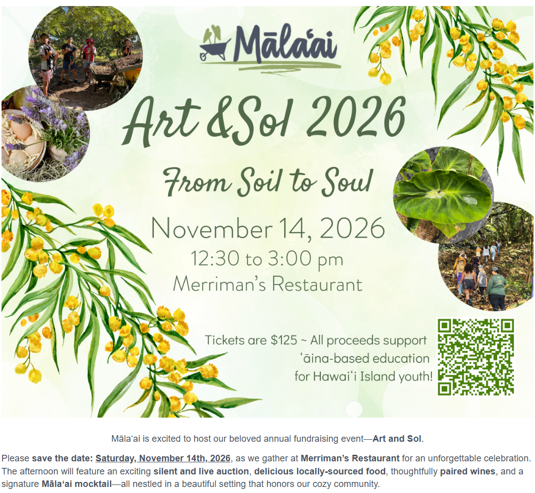 Mala'ai Art & Sol 11-14-26.png