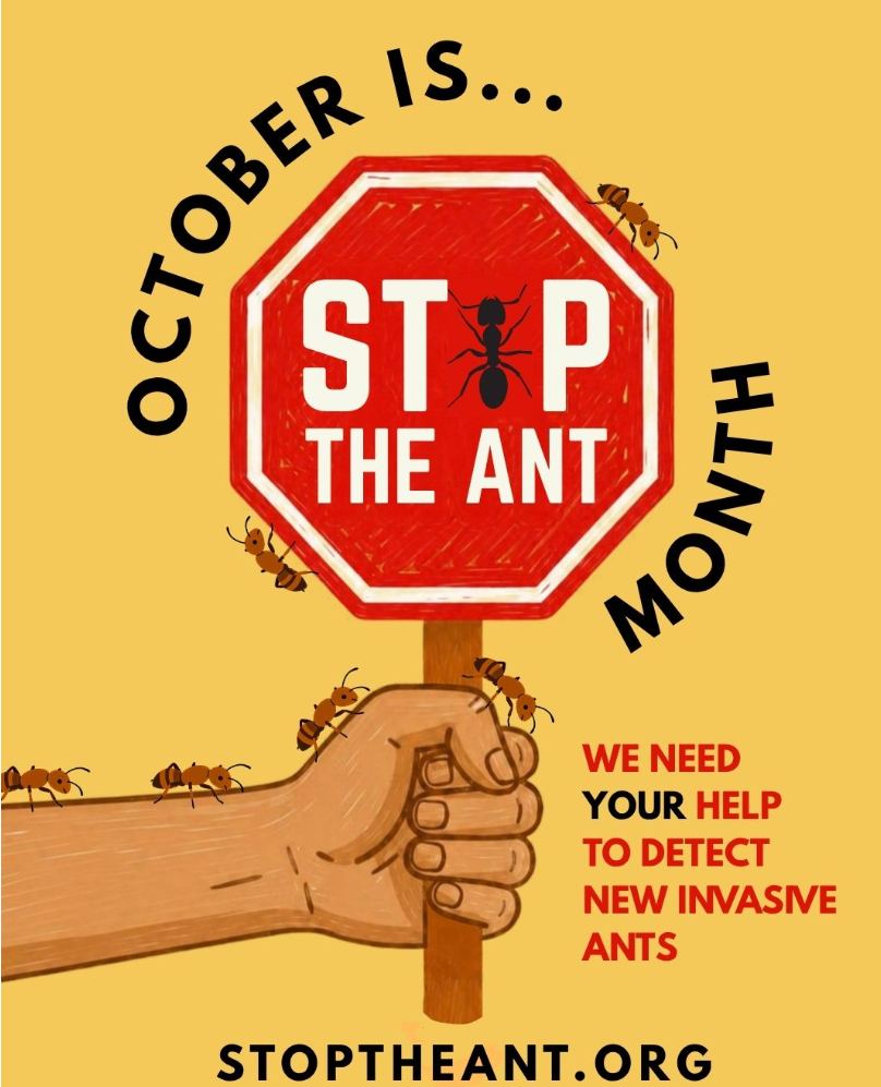 STOP RED ANTS - October 2026.png