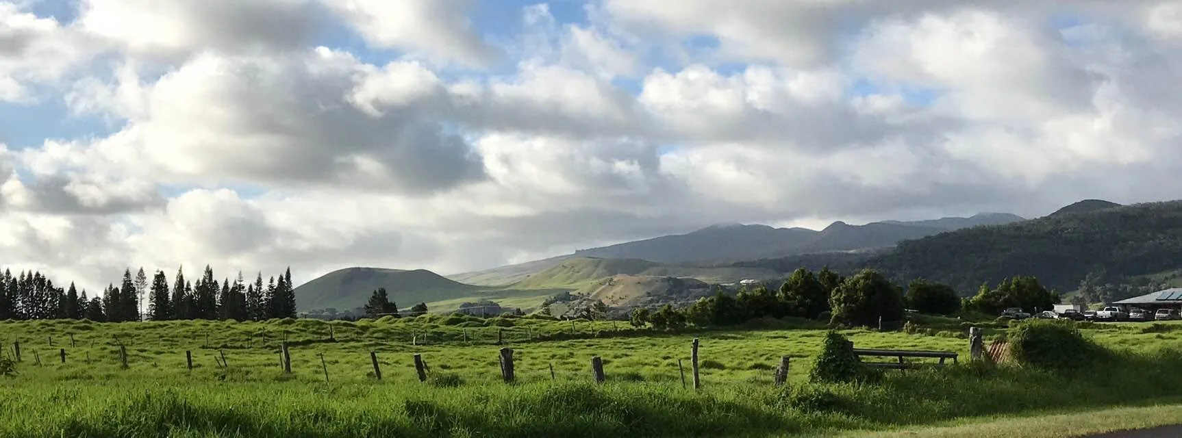 Nani Waimea - Jane Taylor 2019.jpg