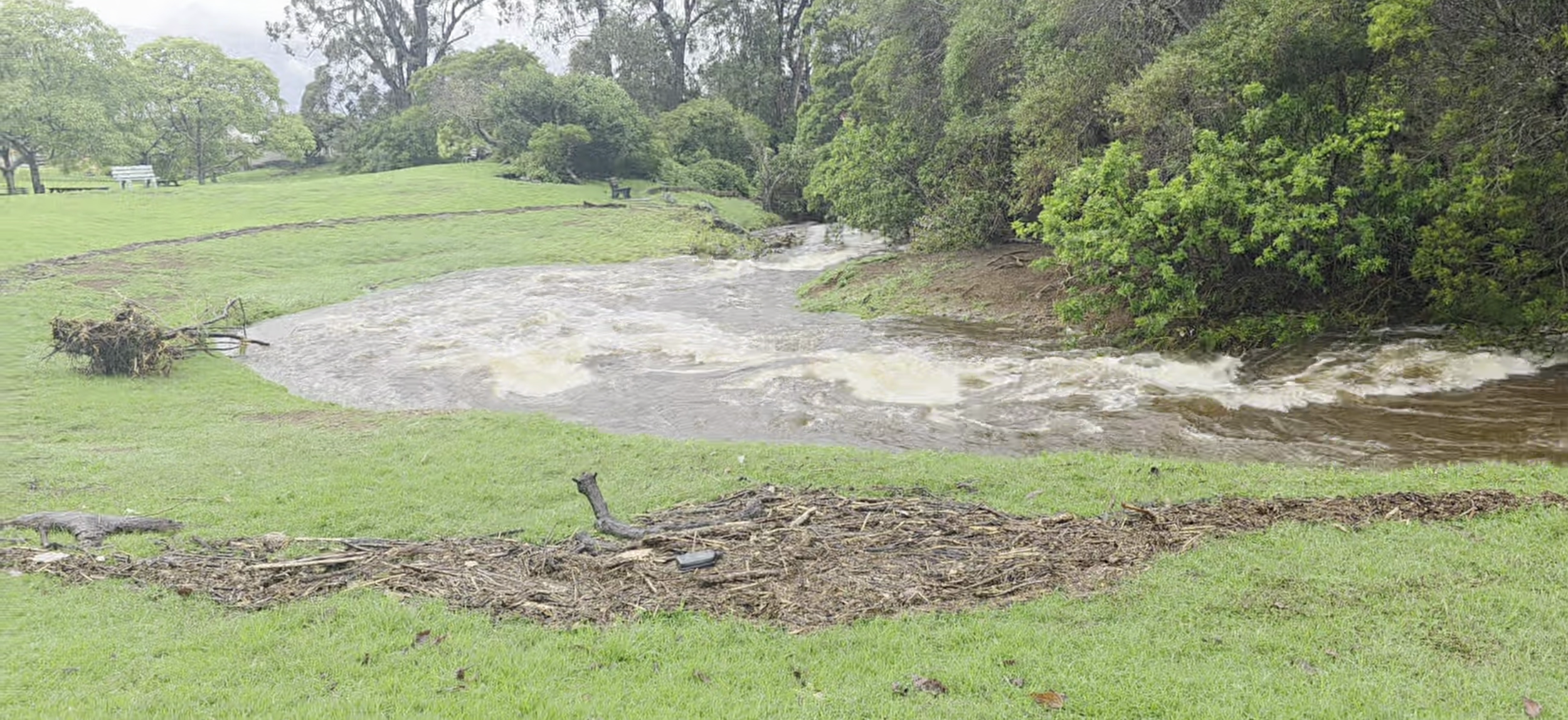 Stream thru Nature Park 3-15-26 - CN film.png