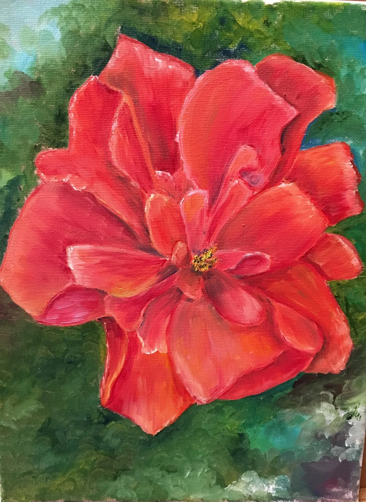 hibiscus.jpg