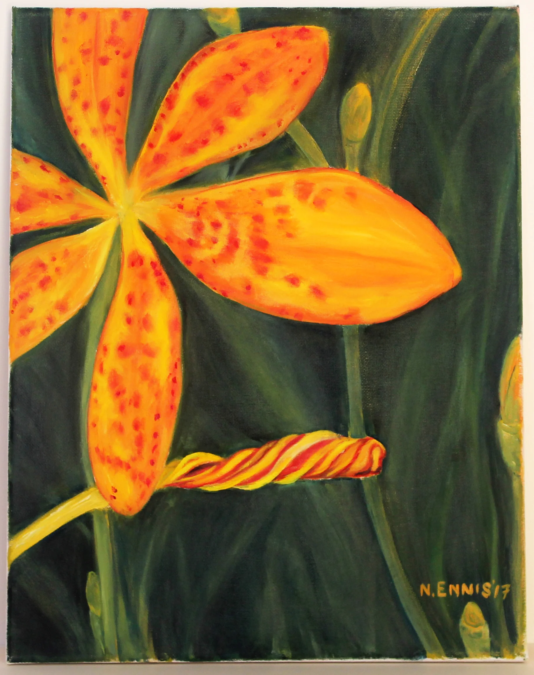 tiger lily.jpg