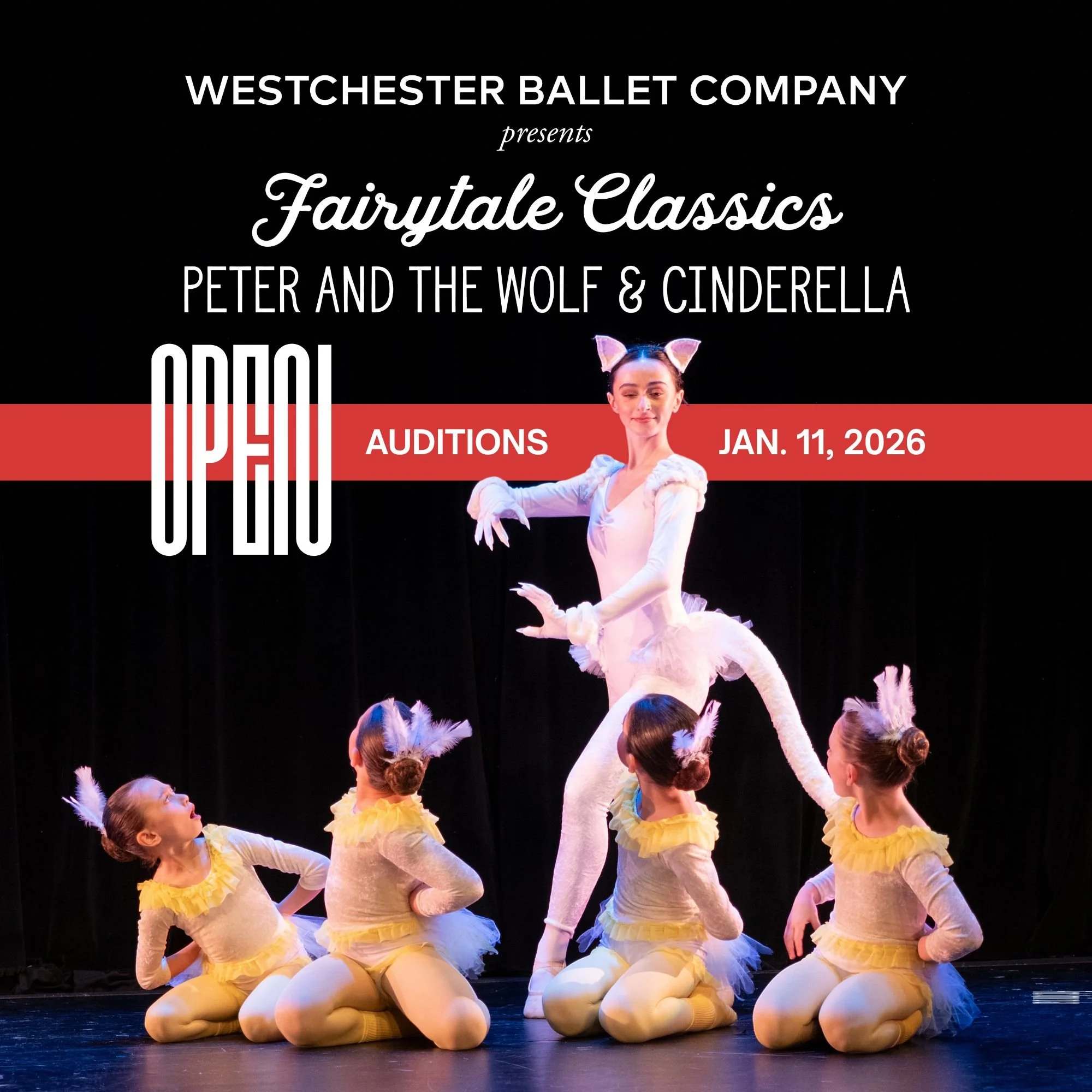 Auditions and Workshops — Westchester Ballet Company