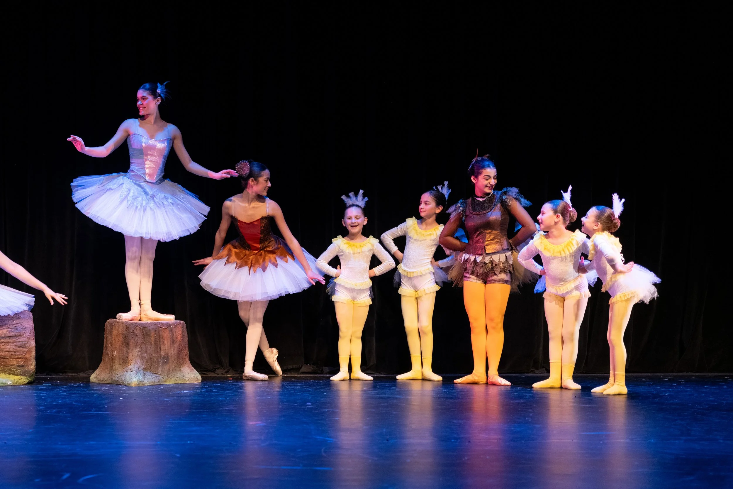 Peter and the Wolf 01007220 (1).jpg