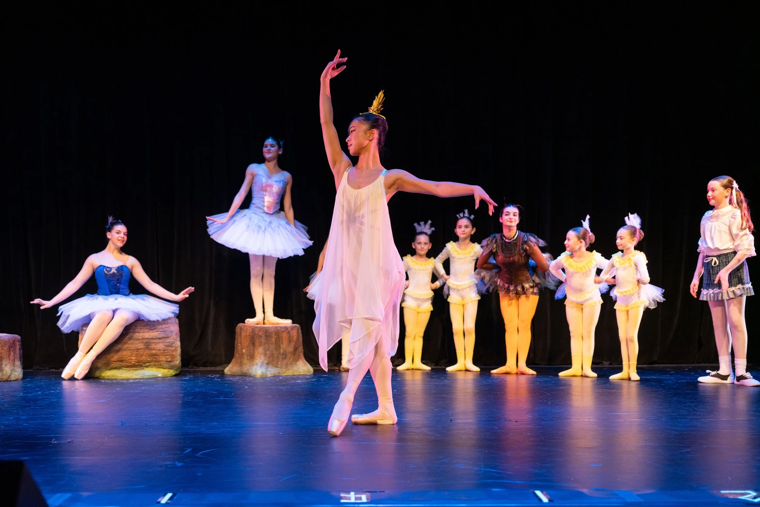 Peter and the Wolf 01007238.jpg