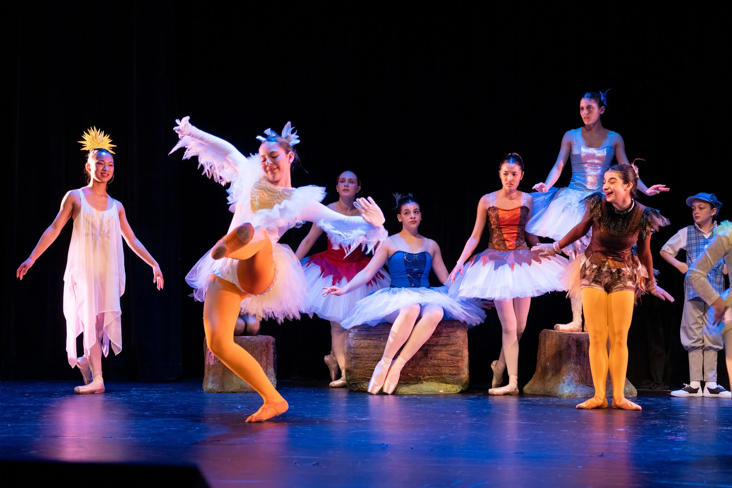 Peter and the Wolf 01007259.jpg