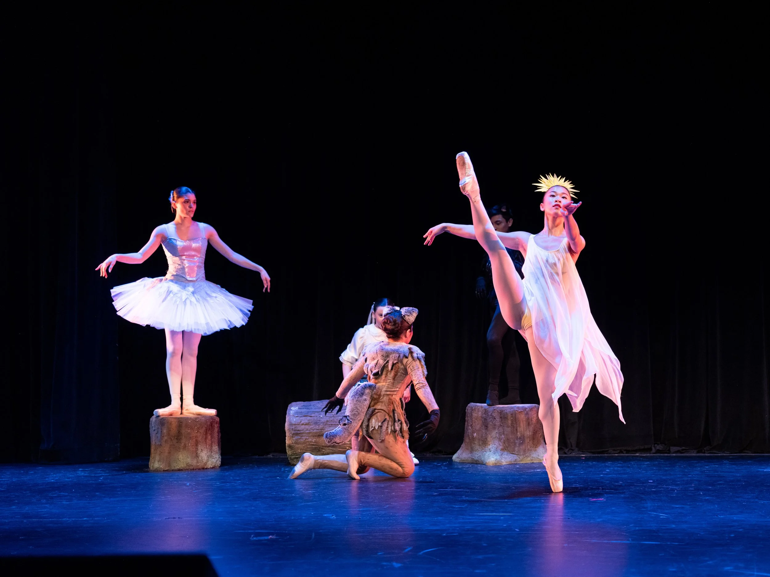 Peter and the Wolf 01007435.jpg