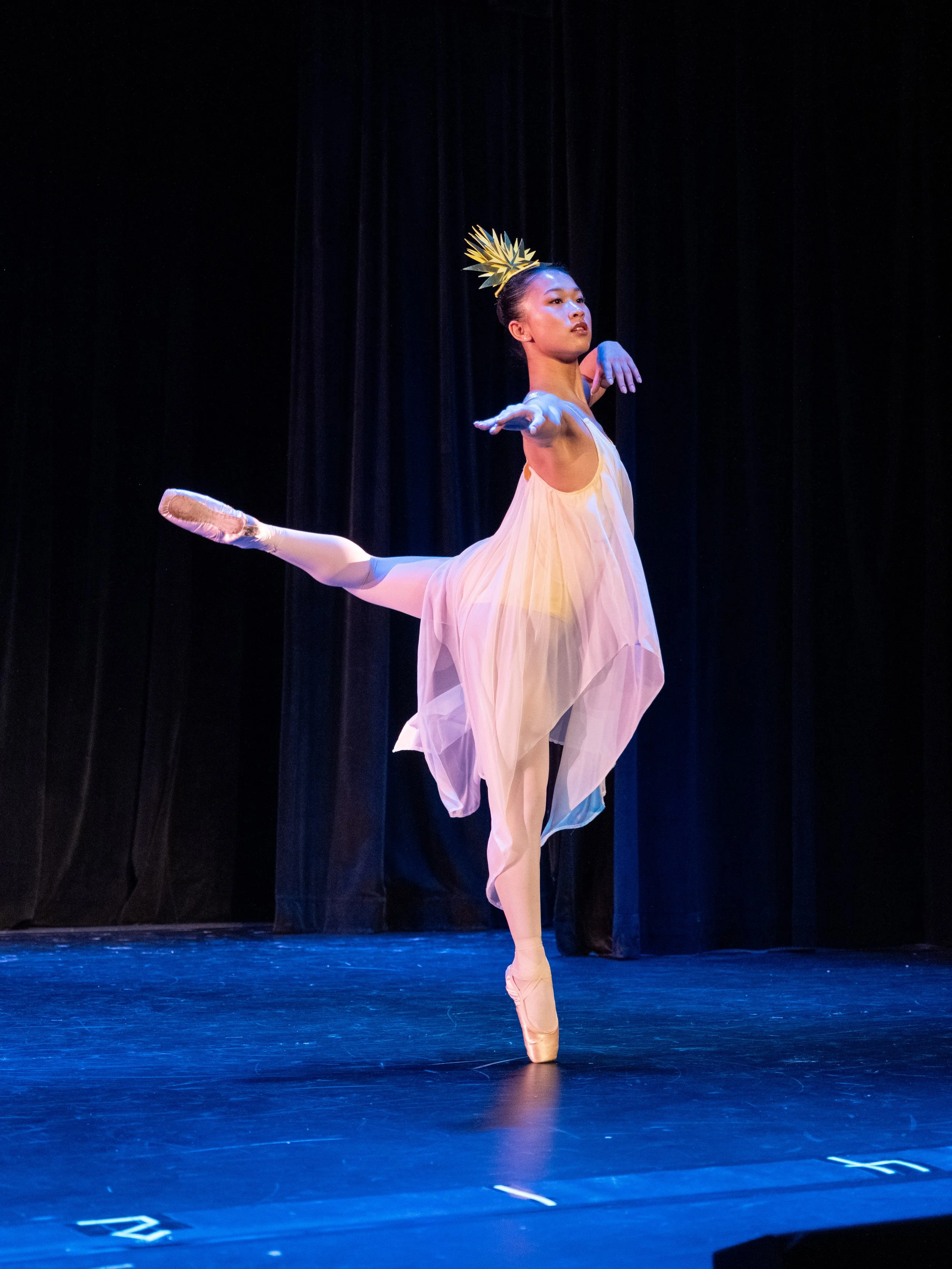 Peter and the Wolf 01007359.jpg