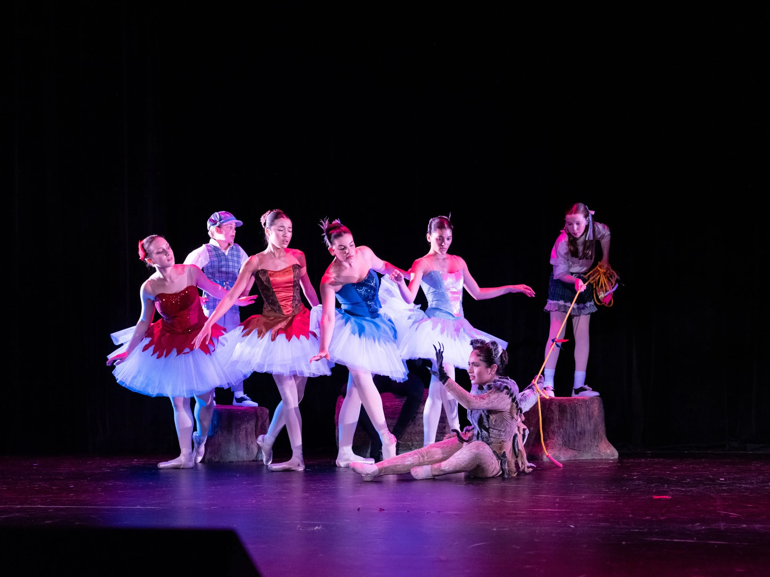 Peter and the Wolf 01007463.jpg