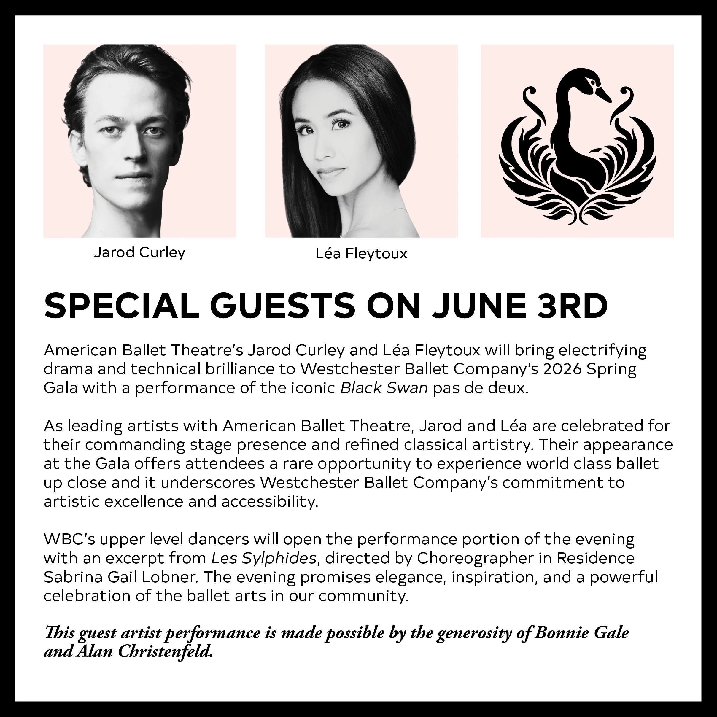 2026 gala website items 2.jpg