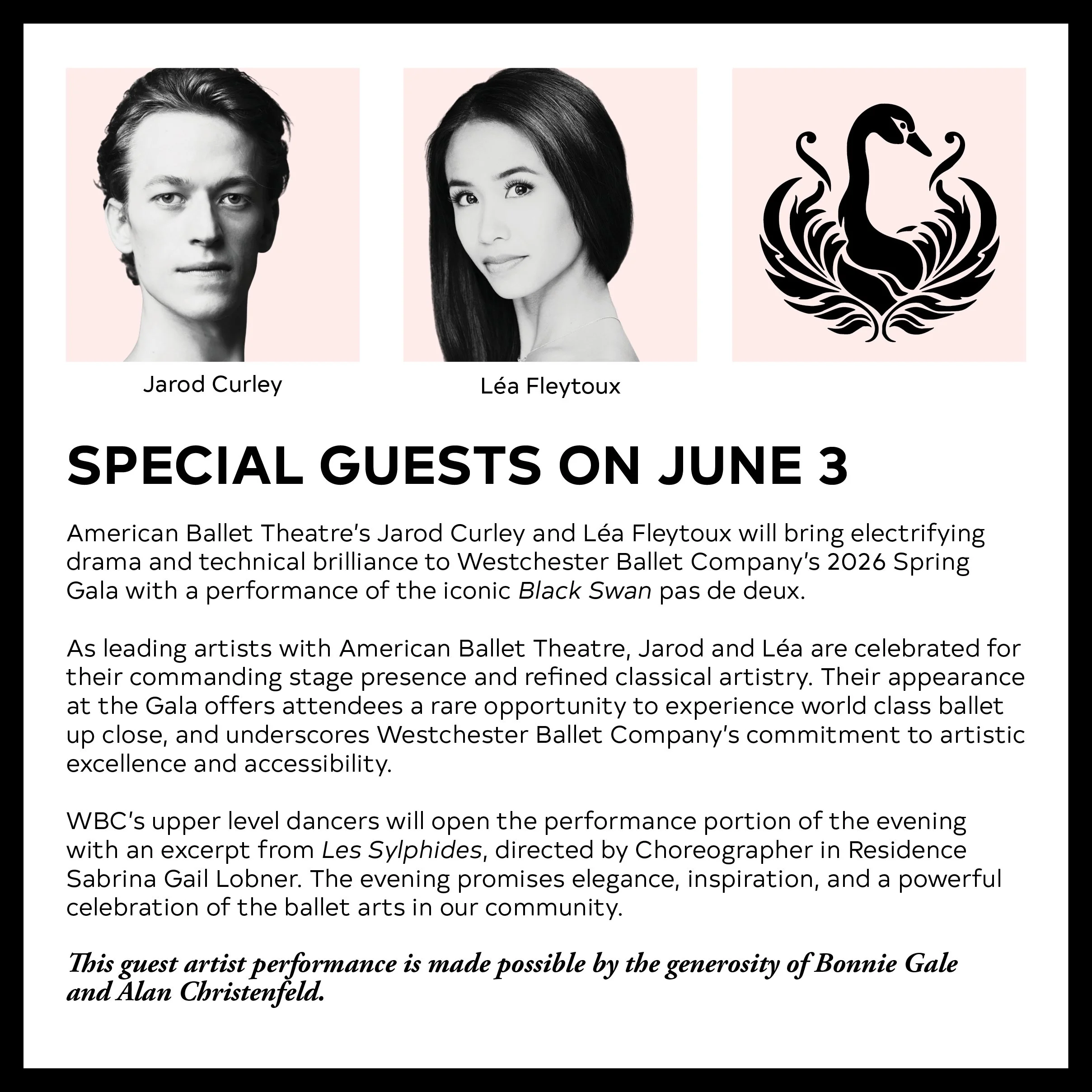 2026 gala website items3.jpg