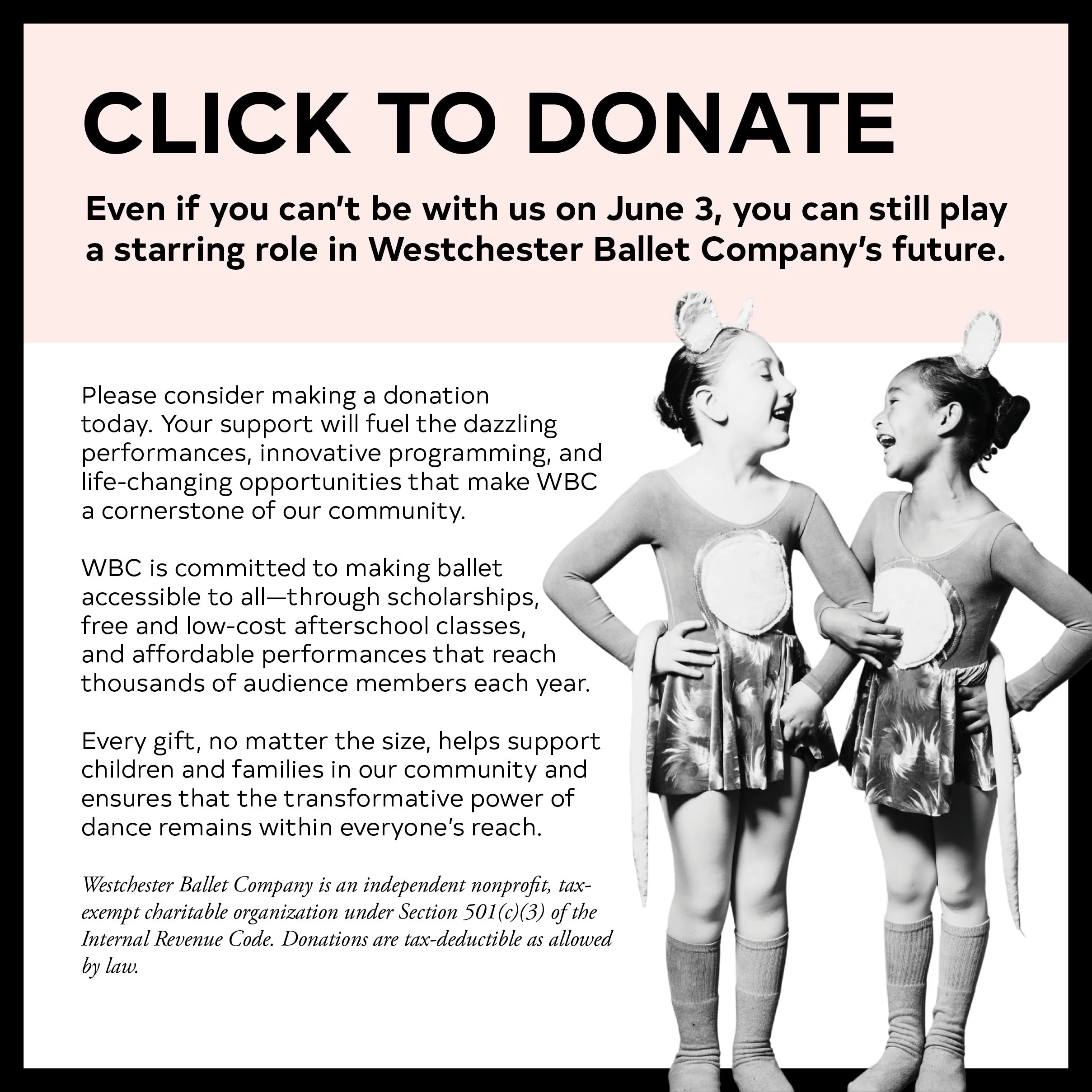 2026 gala website items without deadline7.jpg
