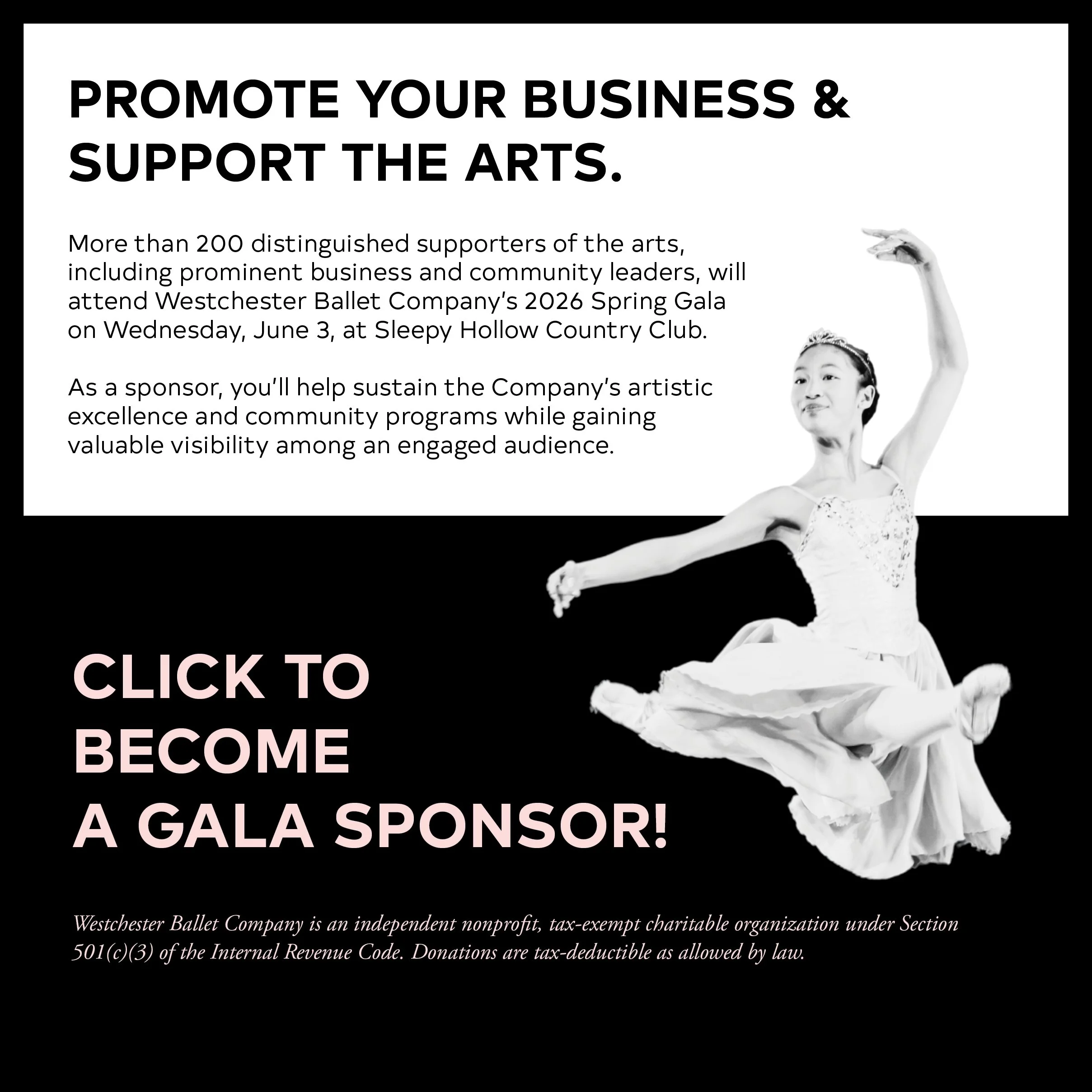 2026 gala website items without deadline6.jpg