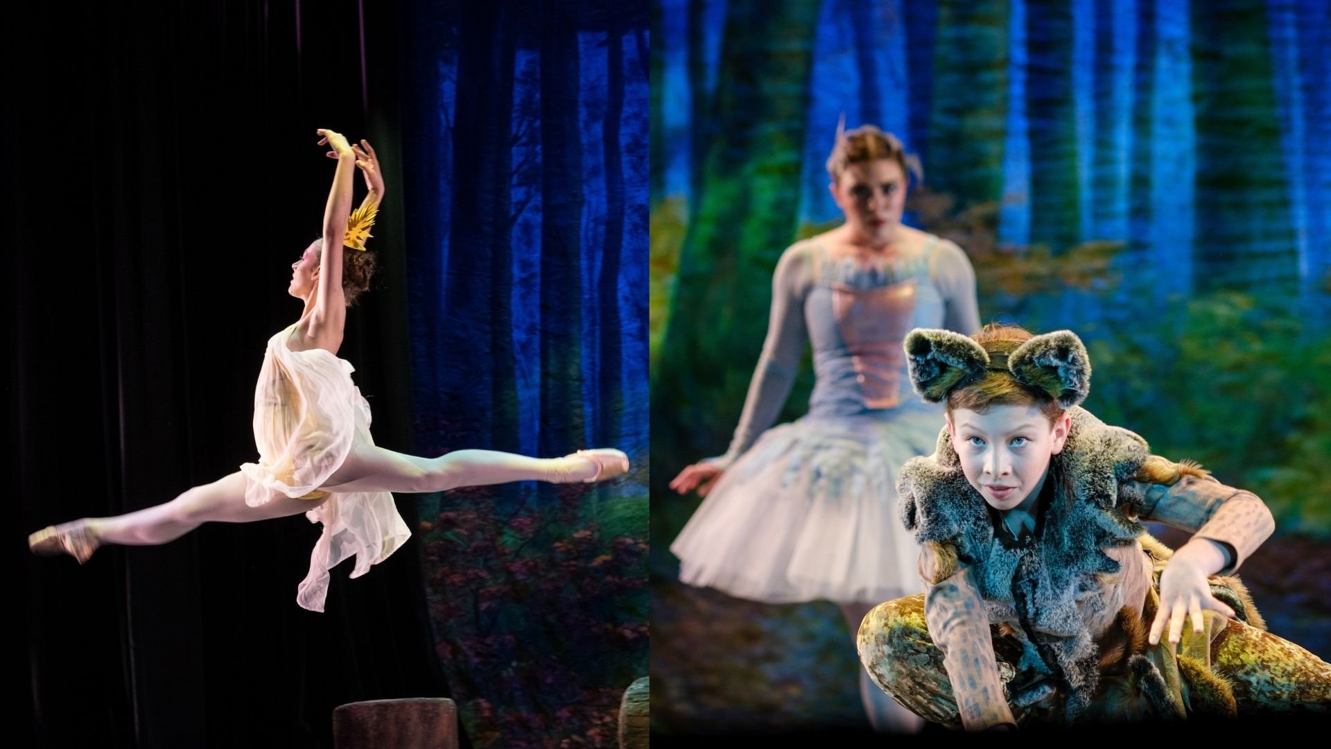Westchester Ballet Company 1.jpg