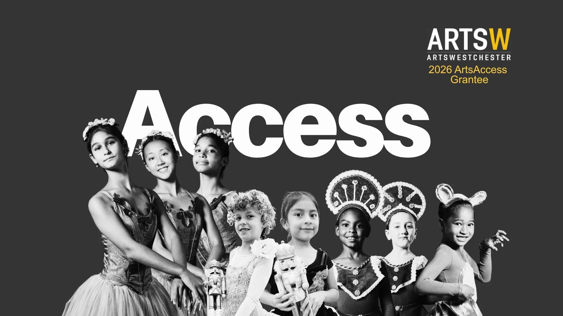 Access.jpg