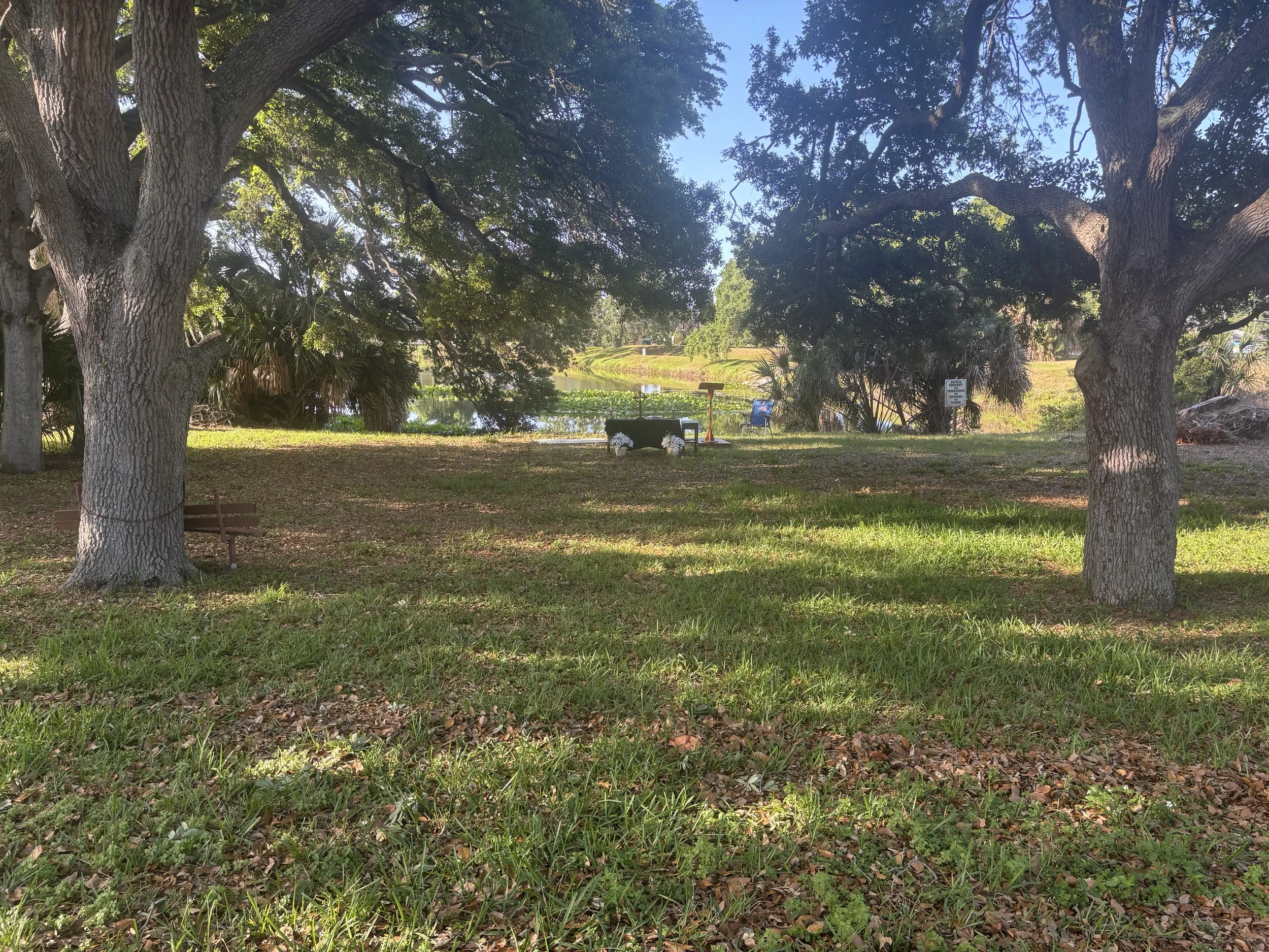 IMG_8041.jpeg