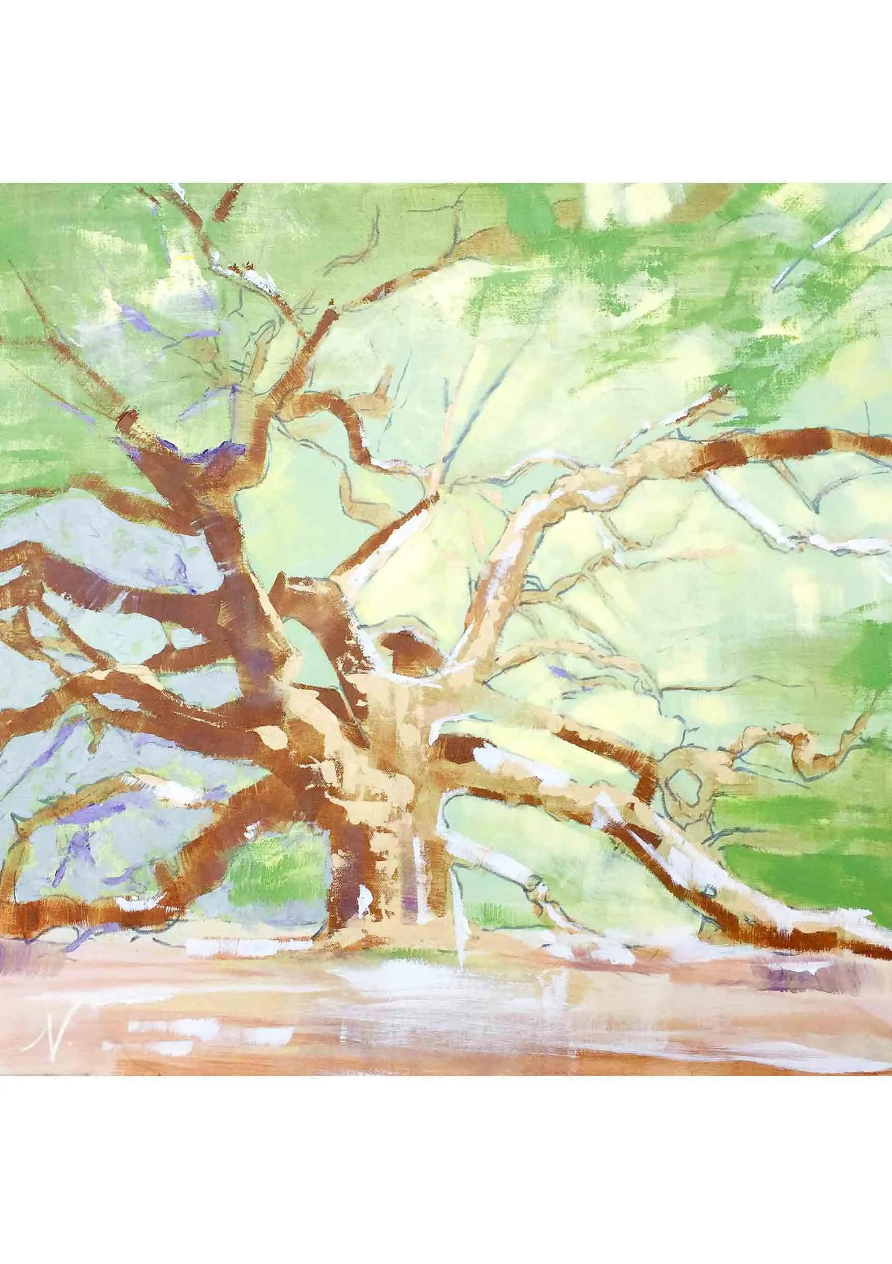 Angel Oak I