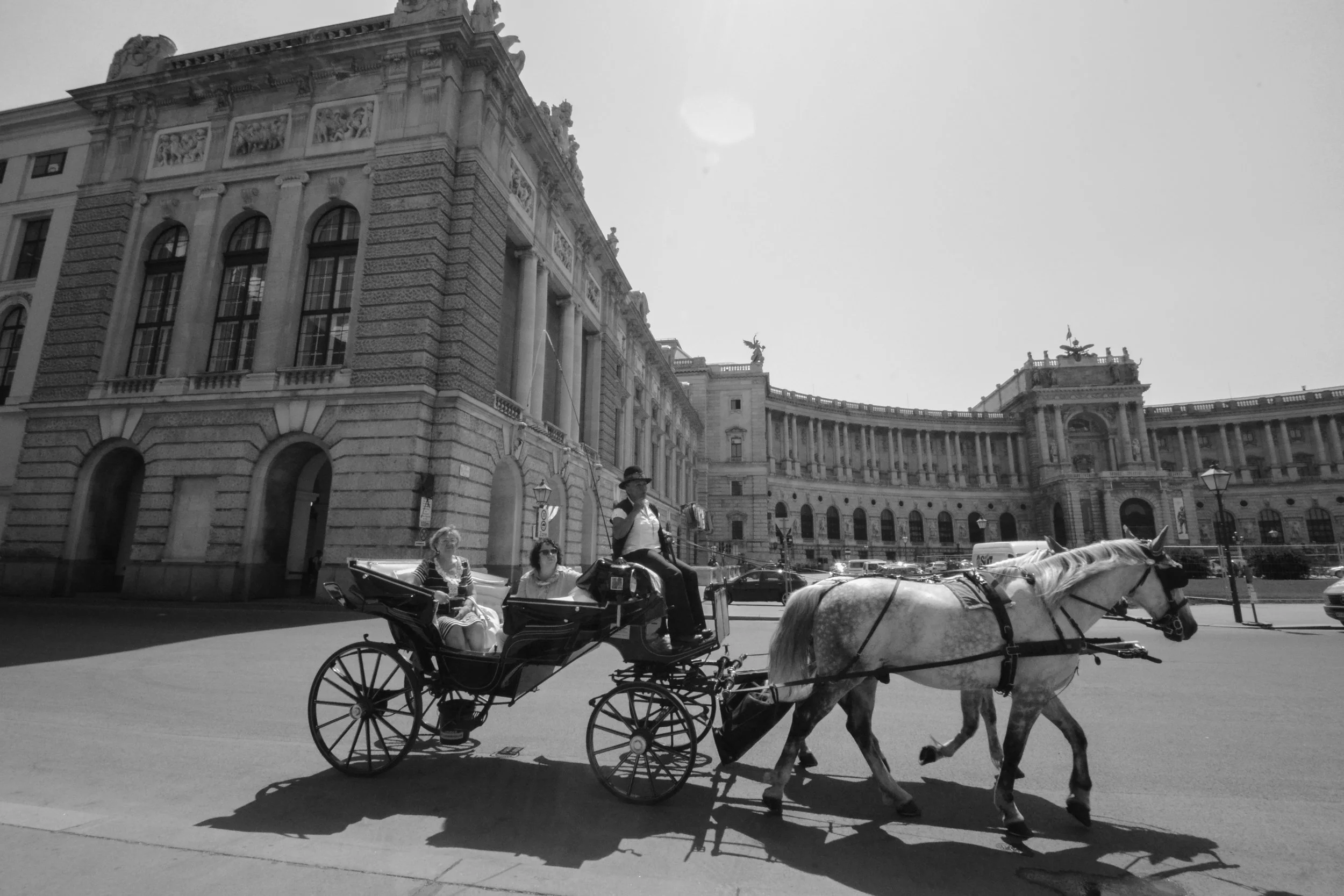 Vienna-40.jpeg