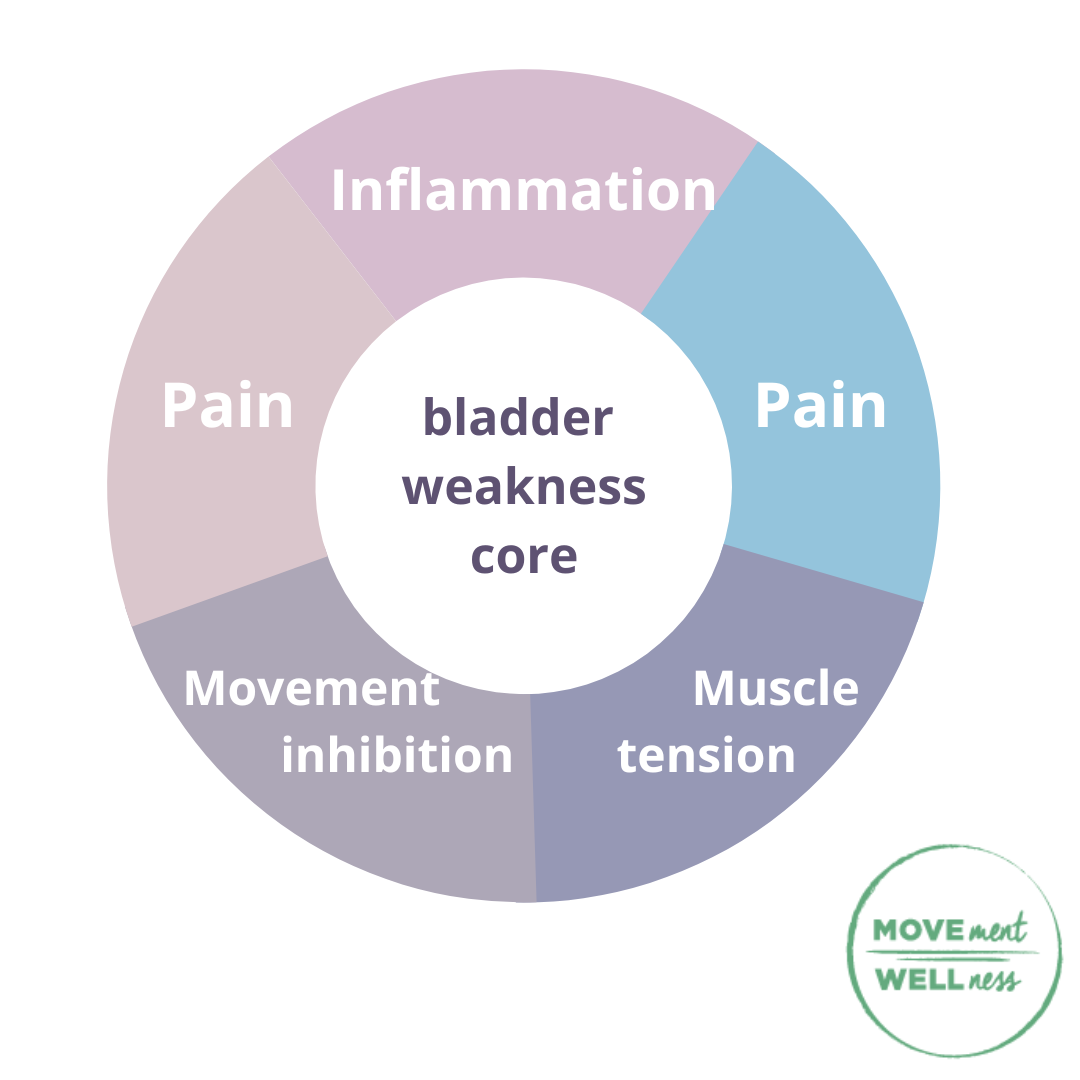 pelvic pain cycle.png