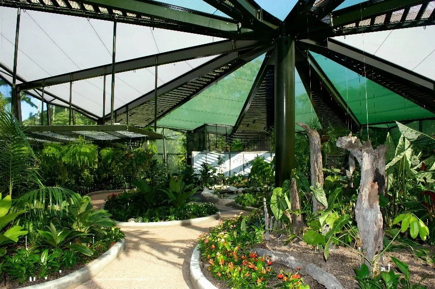 plant-conservatory-botanic-garden-cairns-internal-ggi-architects.jpg