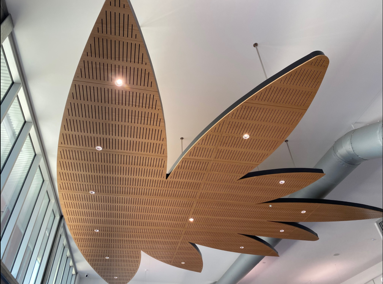 Aurukun Airport Ceiling Feature