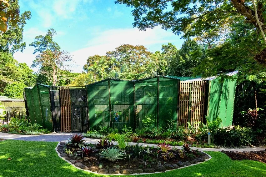 plant-conservatory-botanic-garden-cairns-side-ggi-architects.jpg