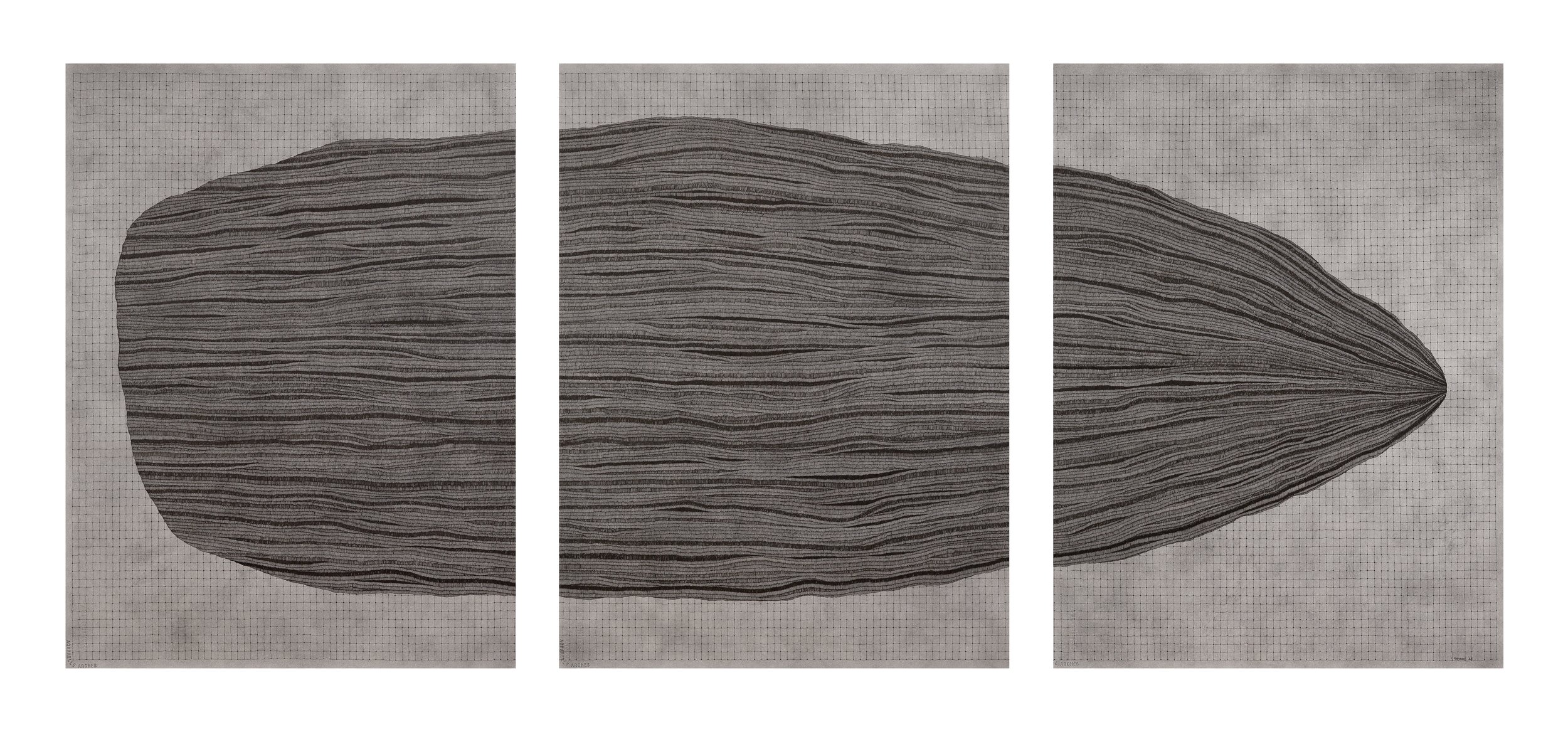 1. Isobel Rayson_Quietly Adrift_2025_Pigma Micron pen and black Indian ink on 300gsm Arches watercolour paper_triptych_91cm x 71.5cm each.jpg