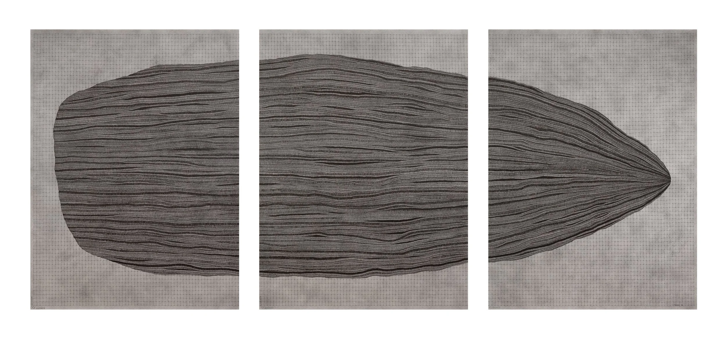 1. Isobel Rayson_Quietly Adrift_2025_Pigma Micron pen and black Indian ink on 300gsm Arches watercolour paper_triptych_91cm x 71.5cm each.jpg