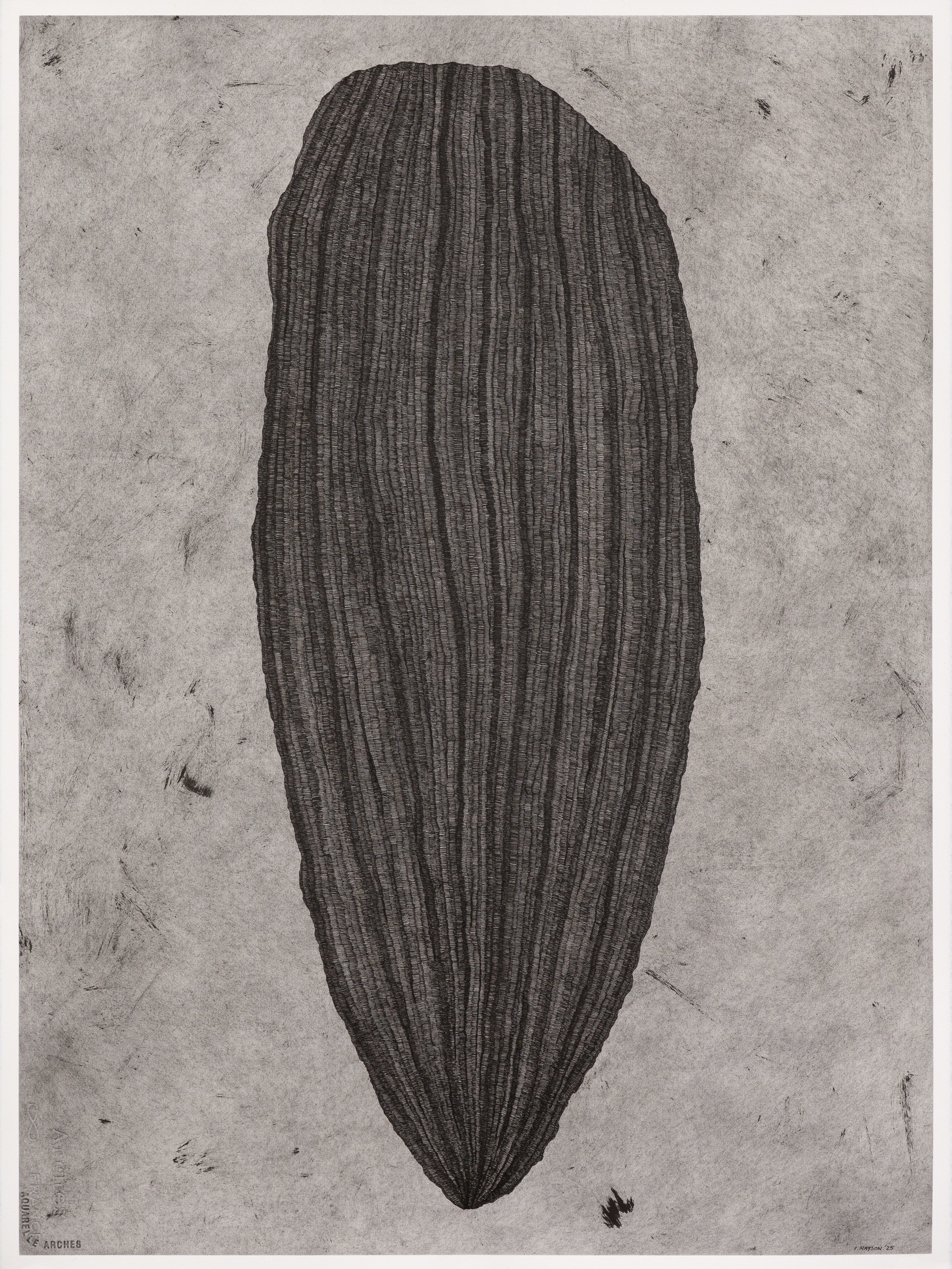 4. Isobel Rayson_Enclosed_2025_Pigma Micron pen and black Indian ink on 300gsm Arches watercolour paper_89.5cm x 70.5cm.jpg