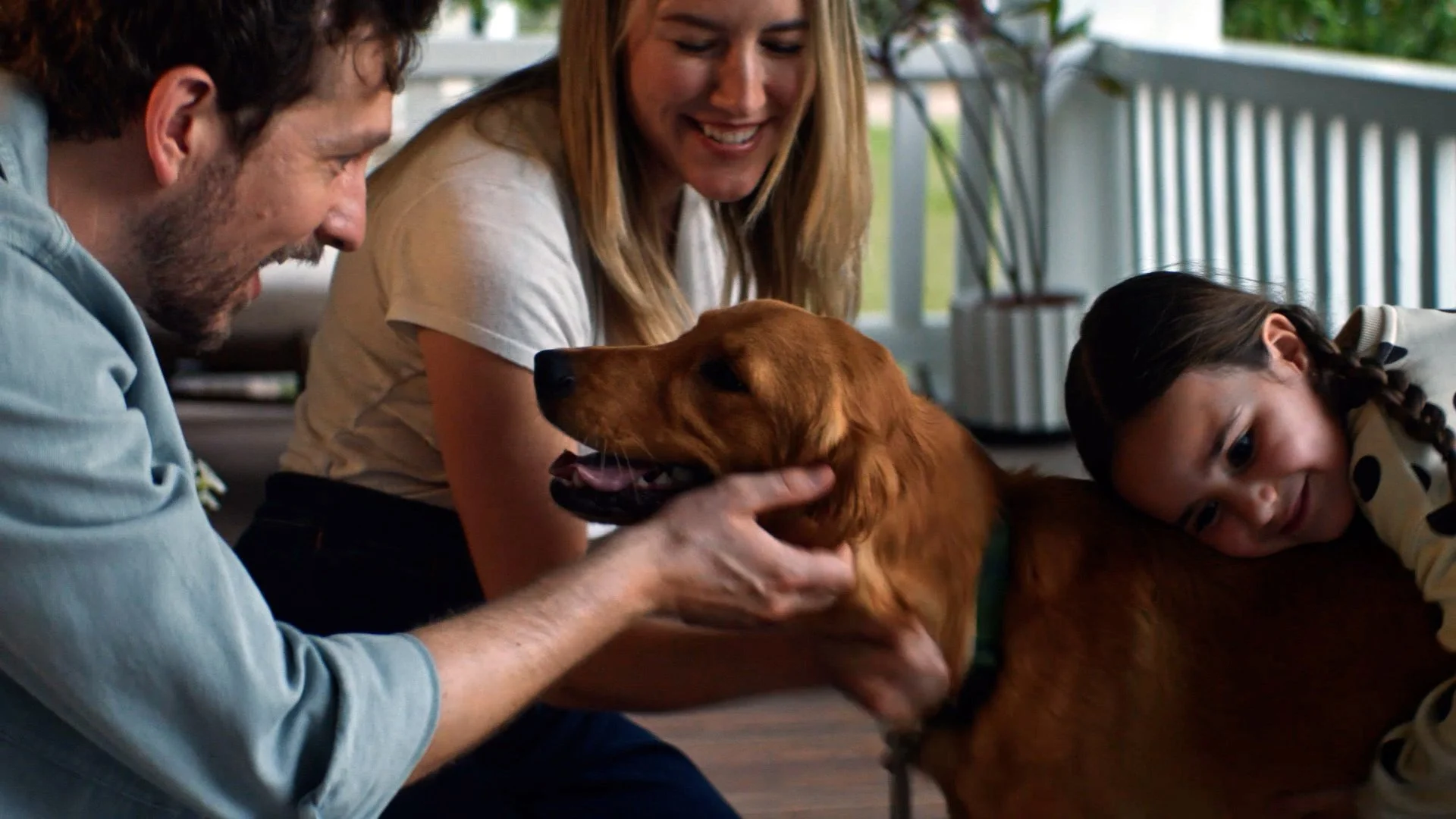 Ring "Search Party" / Tim Wheeler