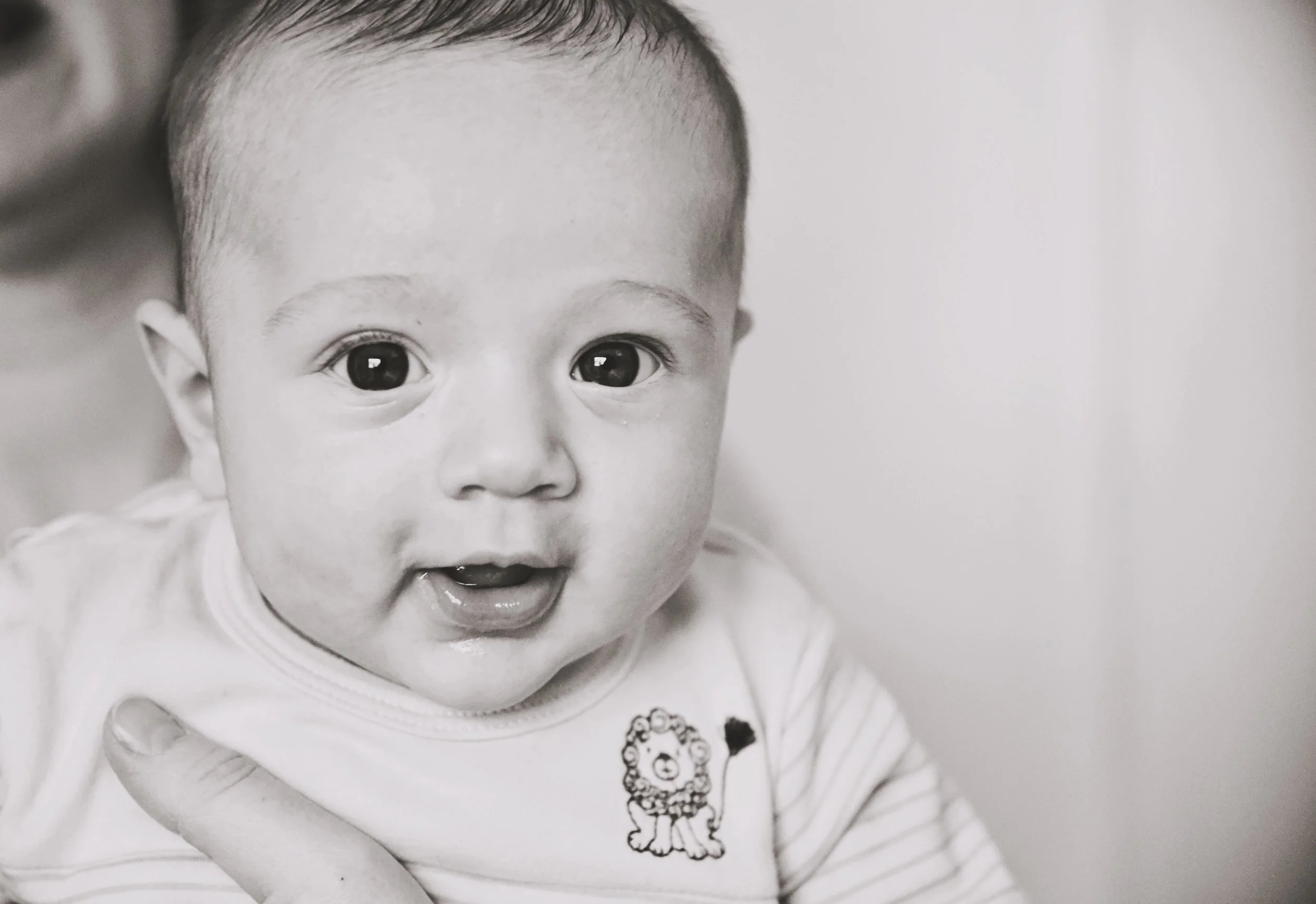 DSC_2210LEO SCHIRALDI.jpg