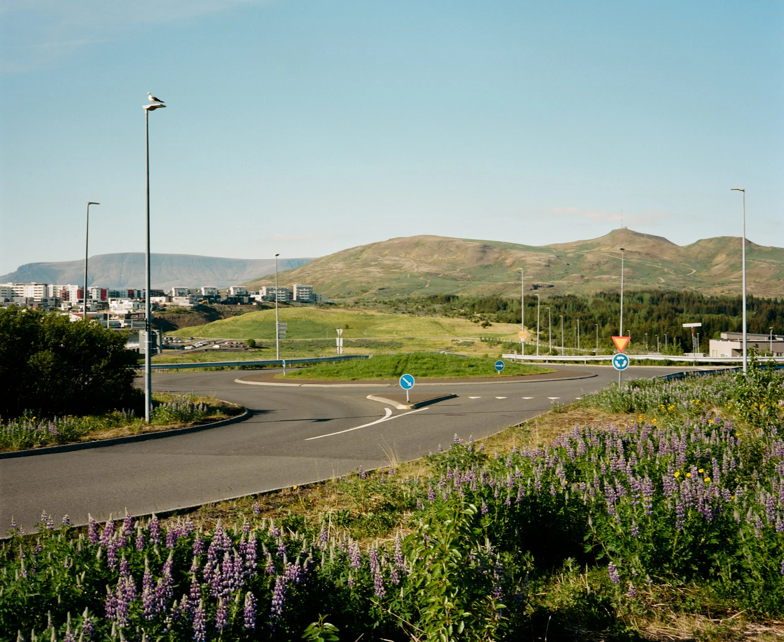 Mossfellsbær, May 2025