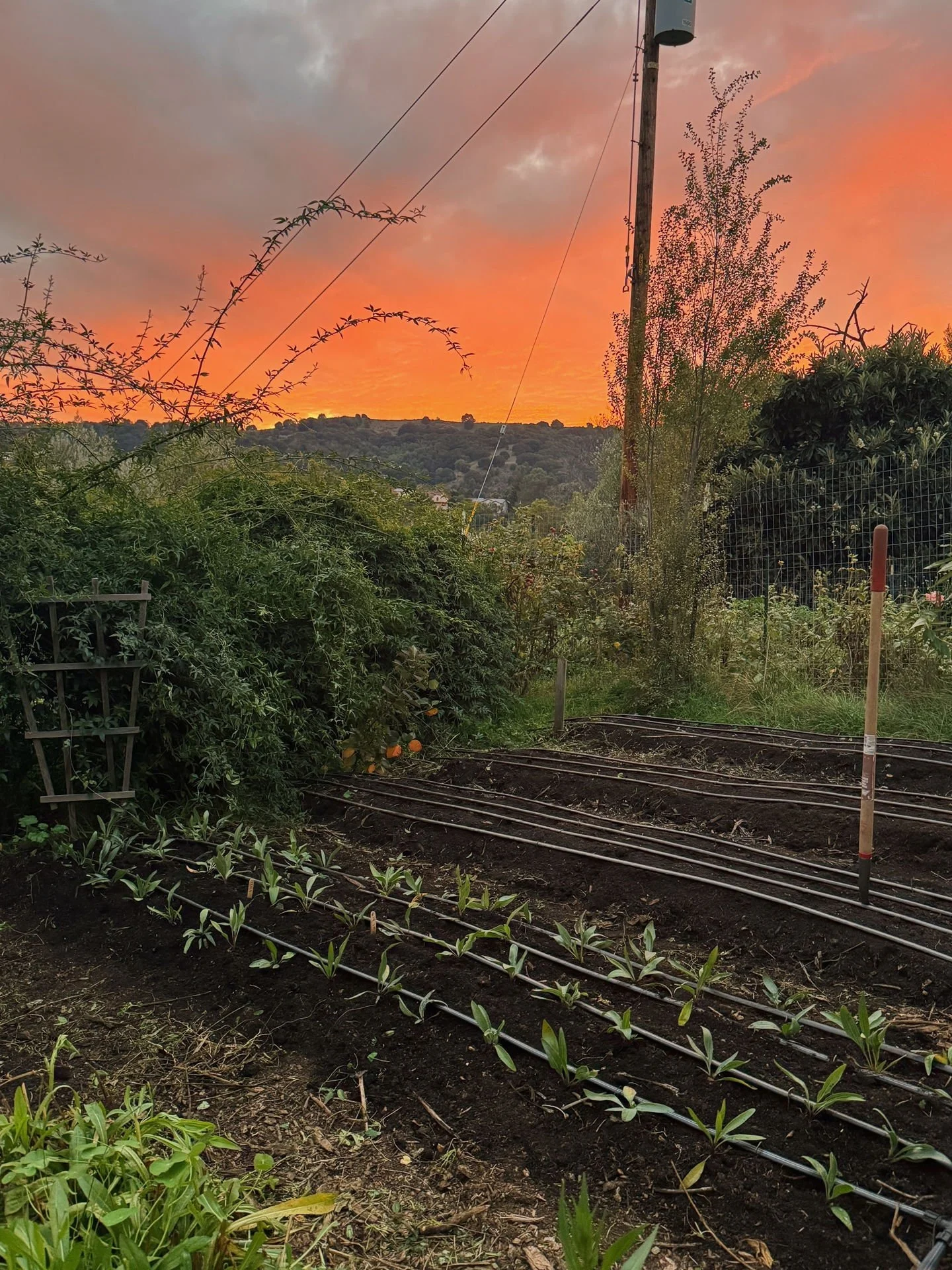 So many beautiful sunsets in the winter.