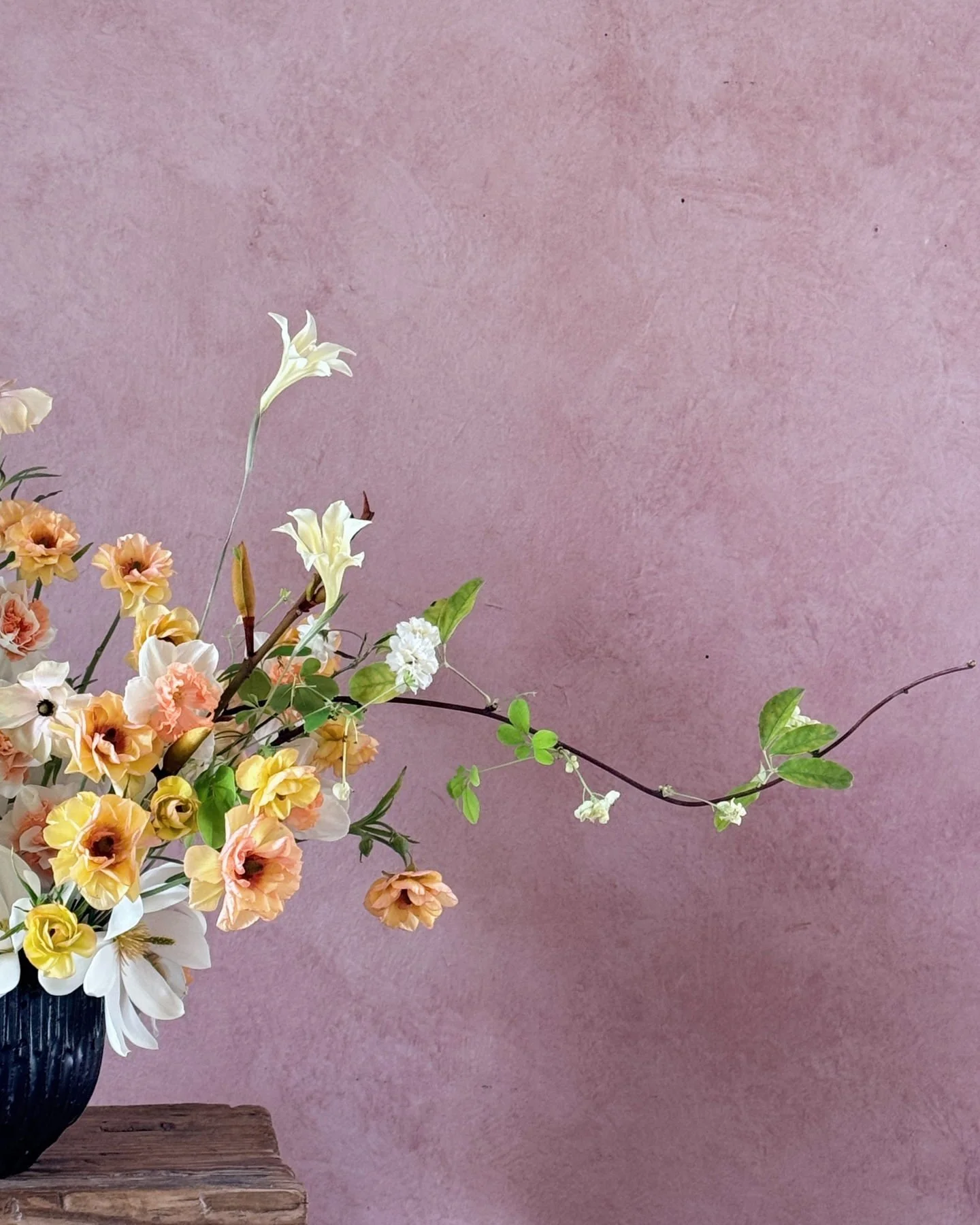 a spring riot of daffodils, ranunculus, akebia, gladiolus, michelia and lady banks