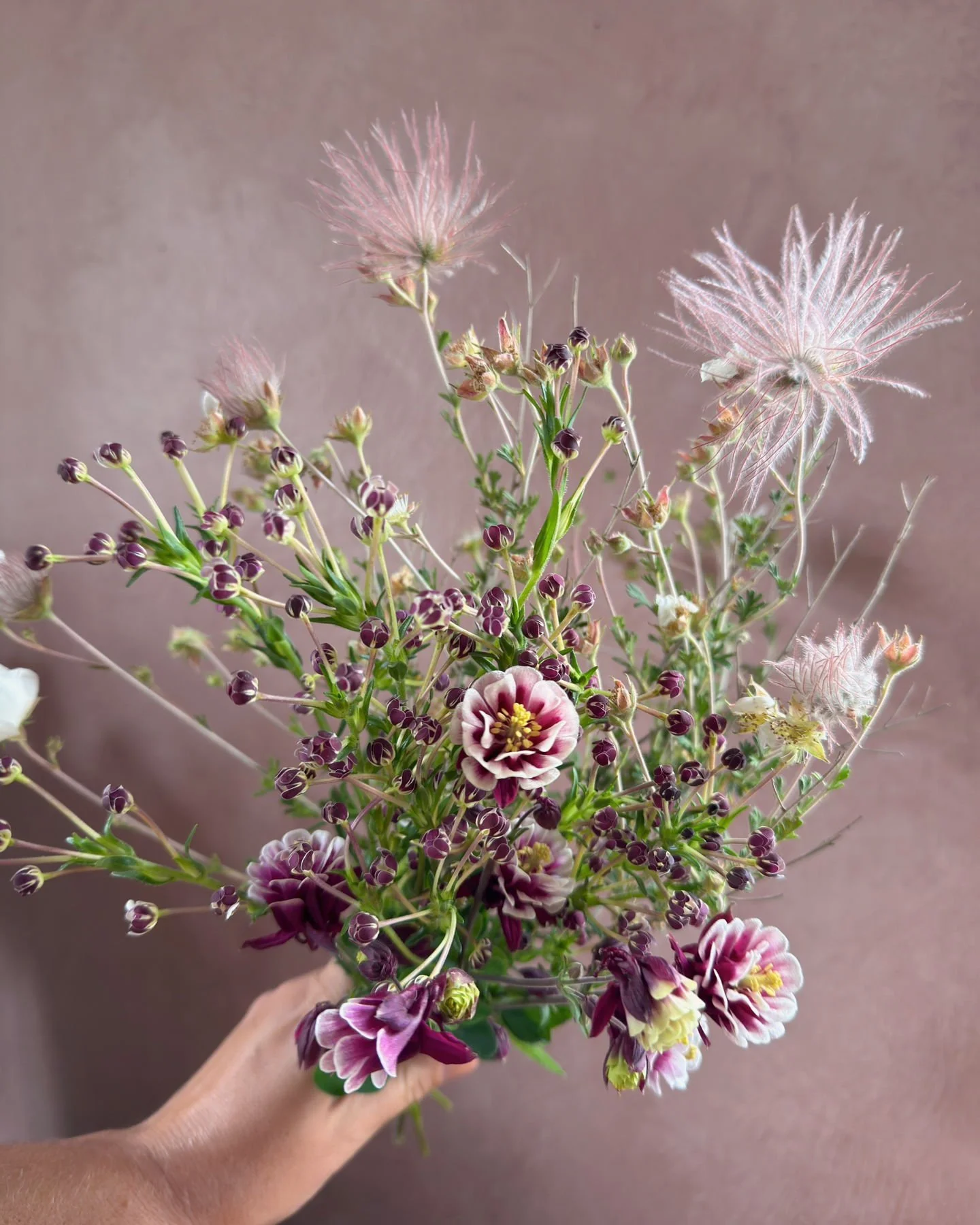 Is more, more? or less?  Here is Fallugia paradoxa (Apache Plume), Aquilegia vulgaris 'Winky Double Red-White'  and one photo has the addition of Snapdragon DoubleShot Yellow Red Heart.