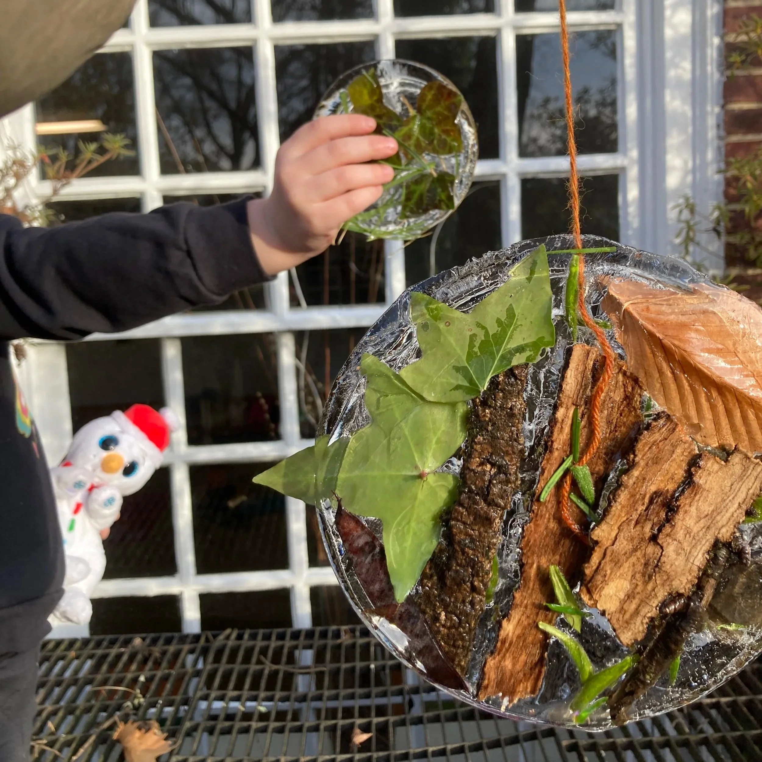 February Eco-Activity: Frozen Sun Catchers