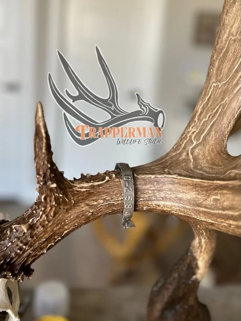 eZy Watermark_27-01-2023_03-35-02PM.jpeg