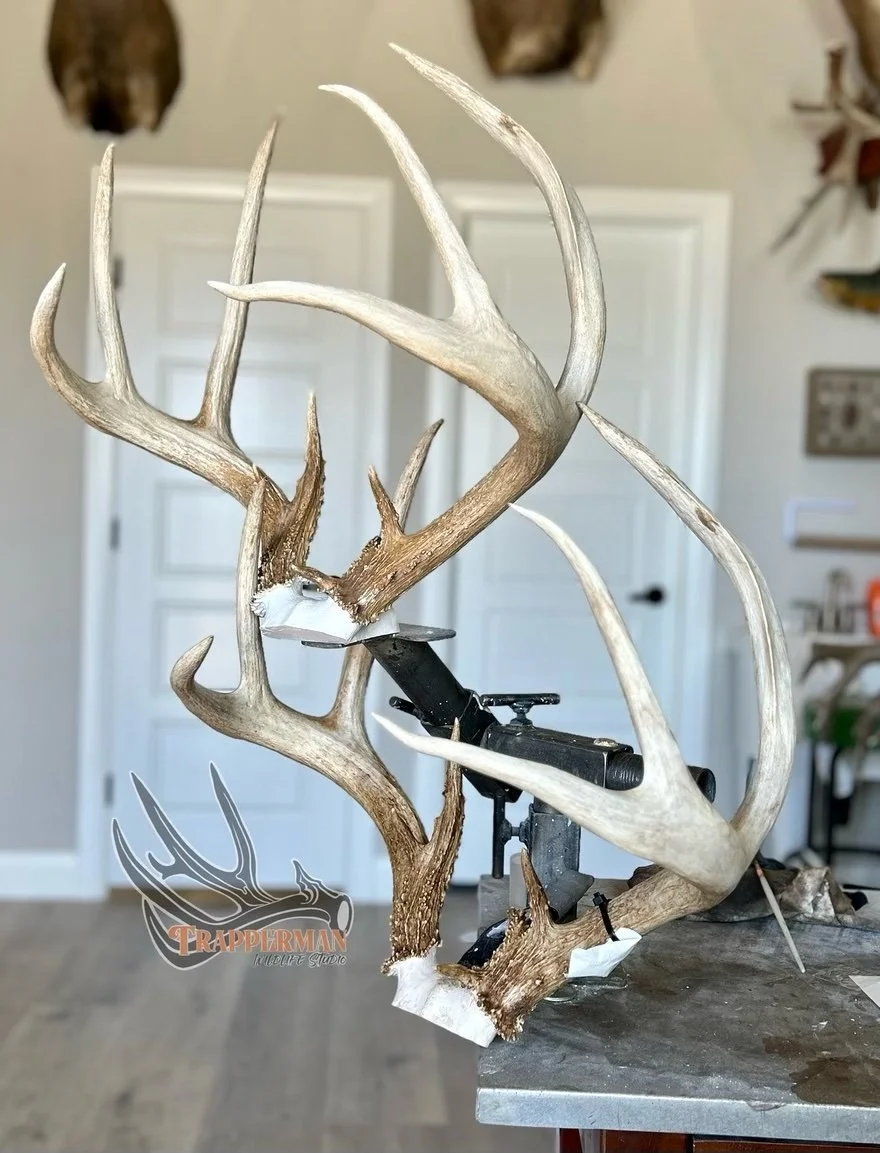 eZy Watermark_08-05-2023_03-41-27-8930PM.jpeg