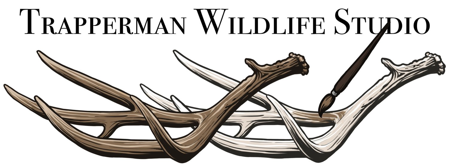 Trapperman Antlers