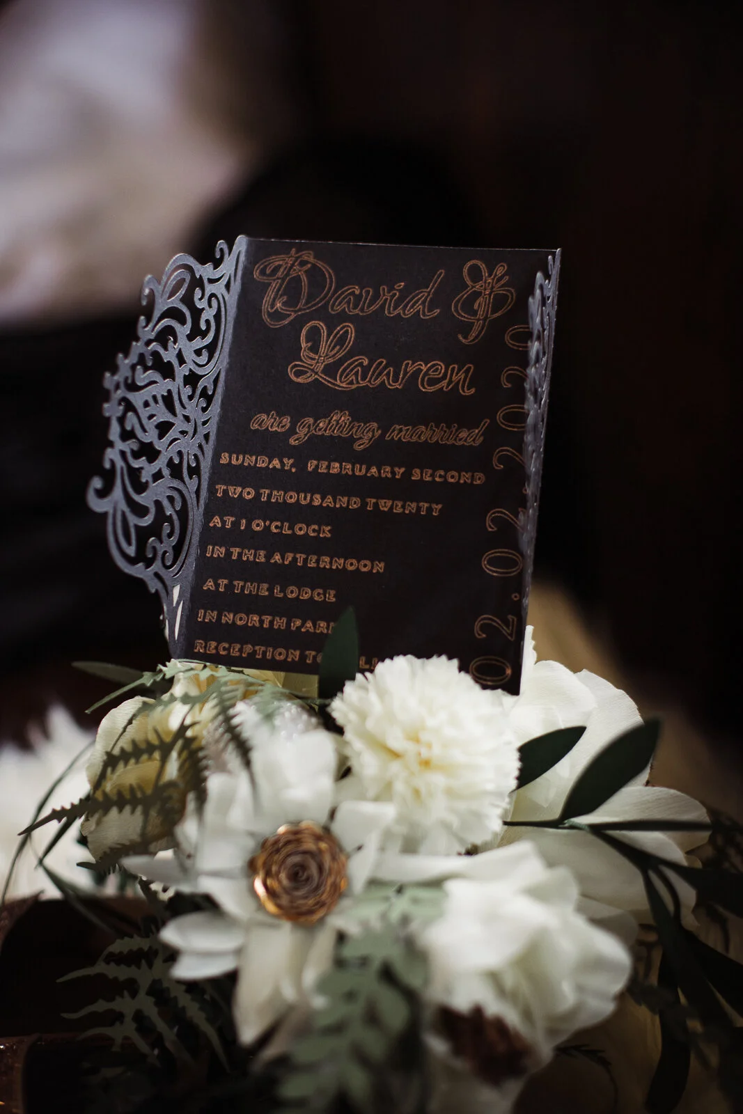 North Park Lodge Pittsburgh Pittsburgh Wedding Photographer David Lauren Mike Christ Photography